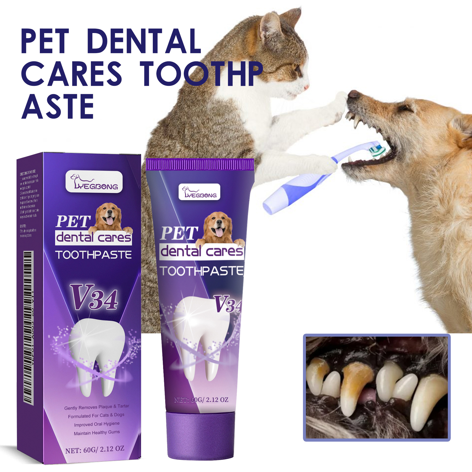 Dog and cat ready for home toothbrushing
