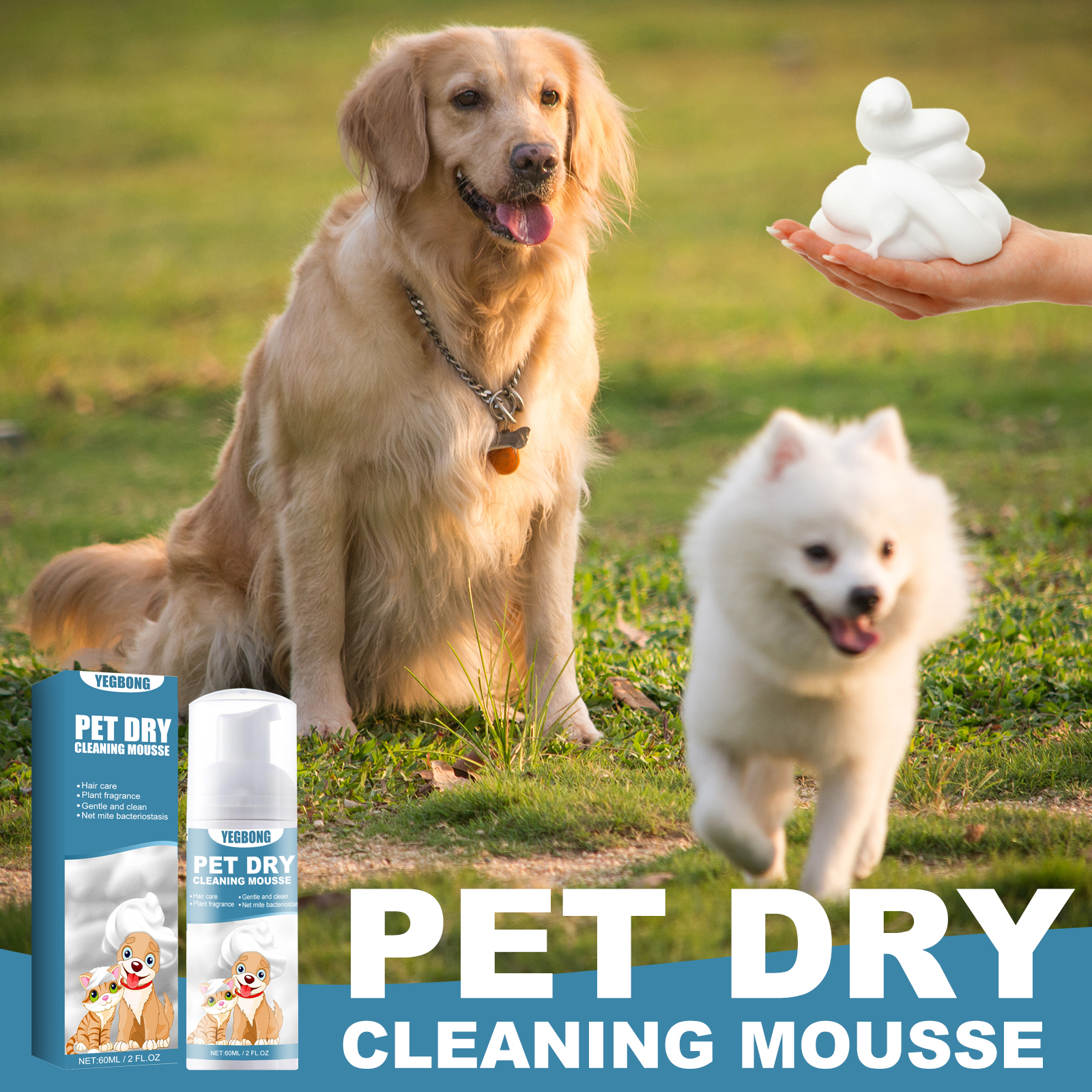 White foam held beside dogs for waterless coat cleaning