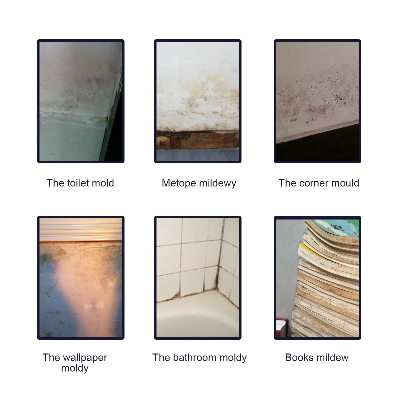 Household mildew application examples on product graphic
