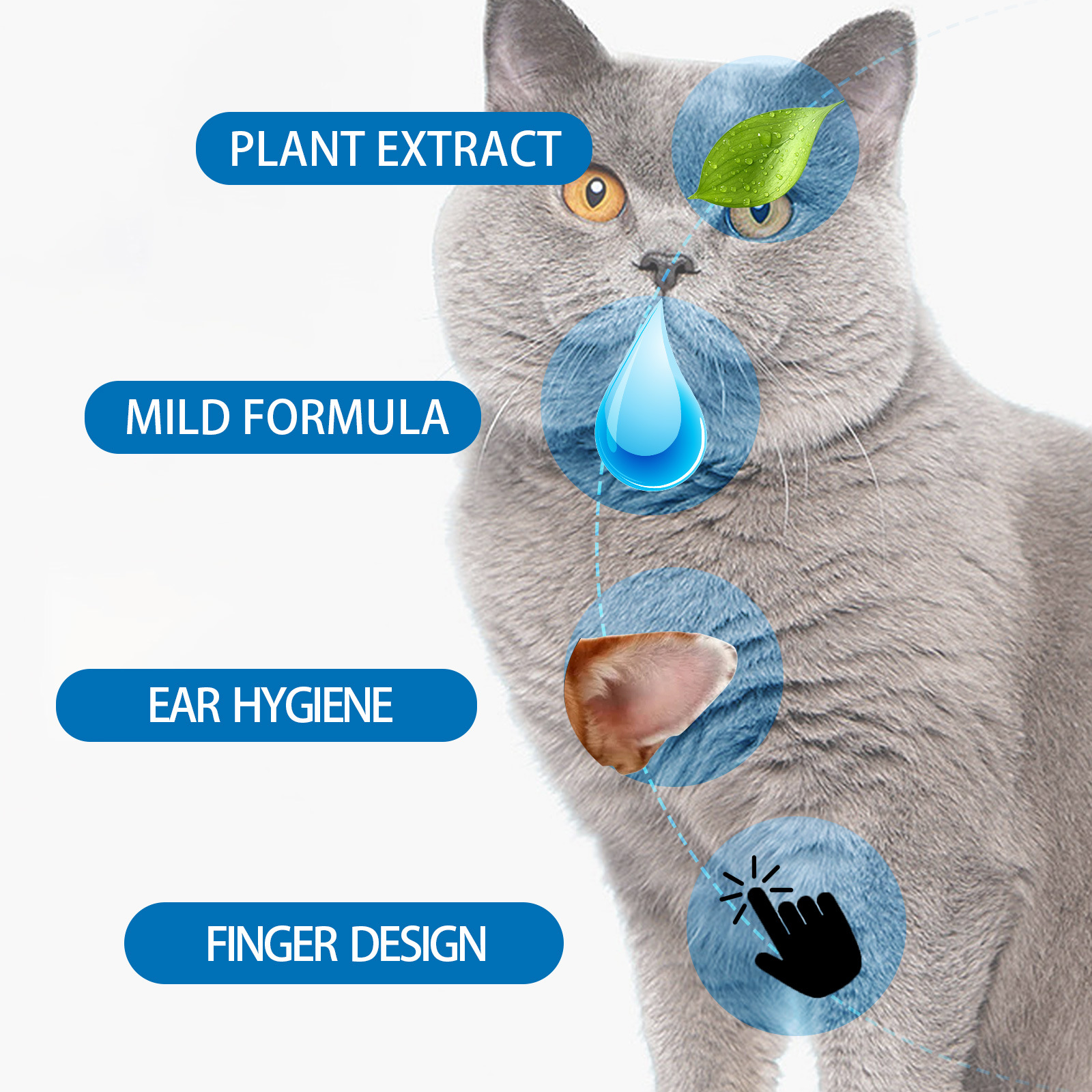 Pet ear care wipes staged for cat and dog grooming