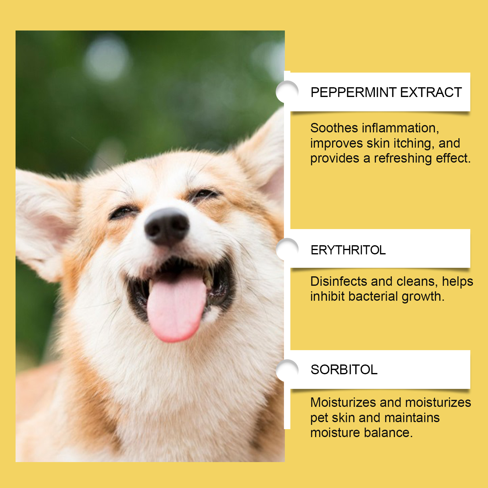 Visible ingredient list for herbal dog supplement