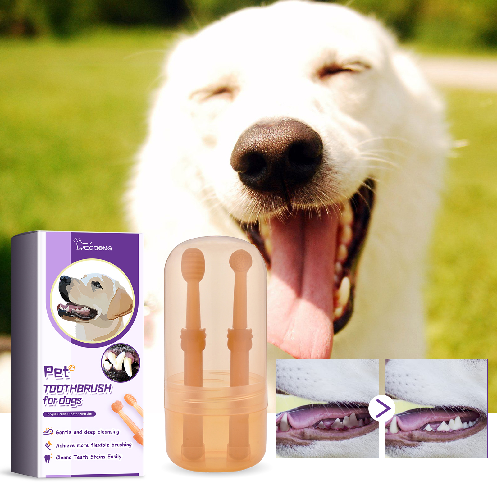 Dog toothbrush head shown near a relaxed white dog