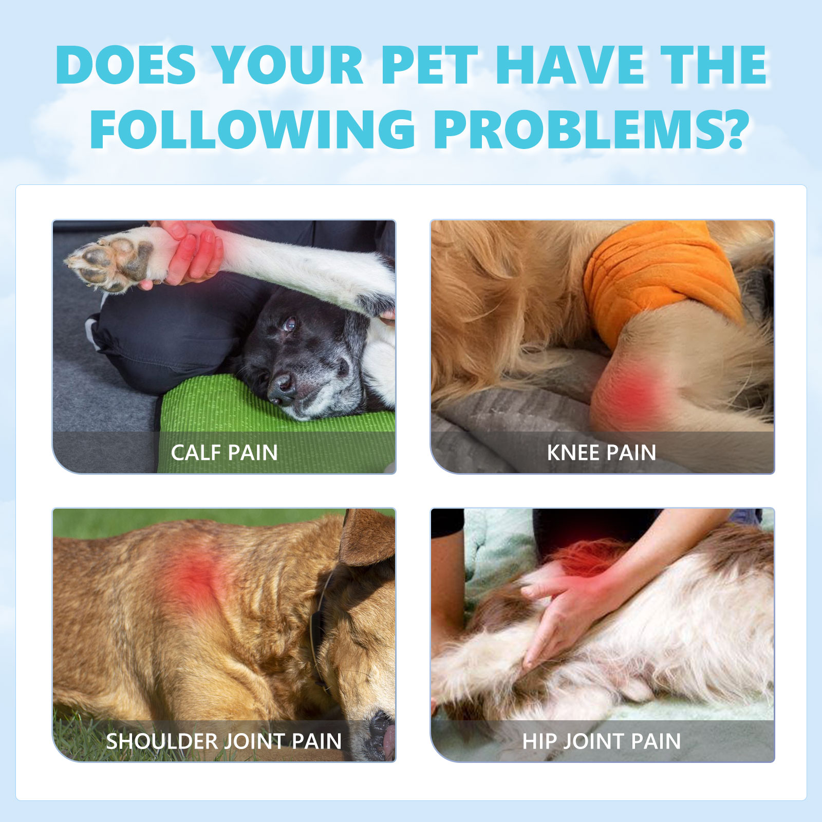 Graphic highlighting pet knee and hip areas