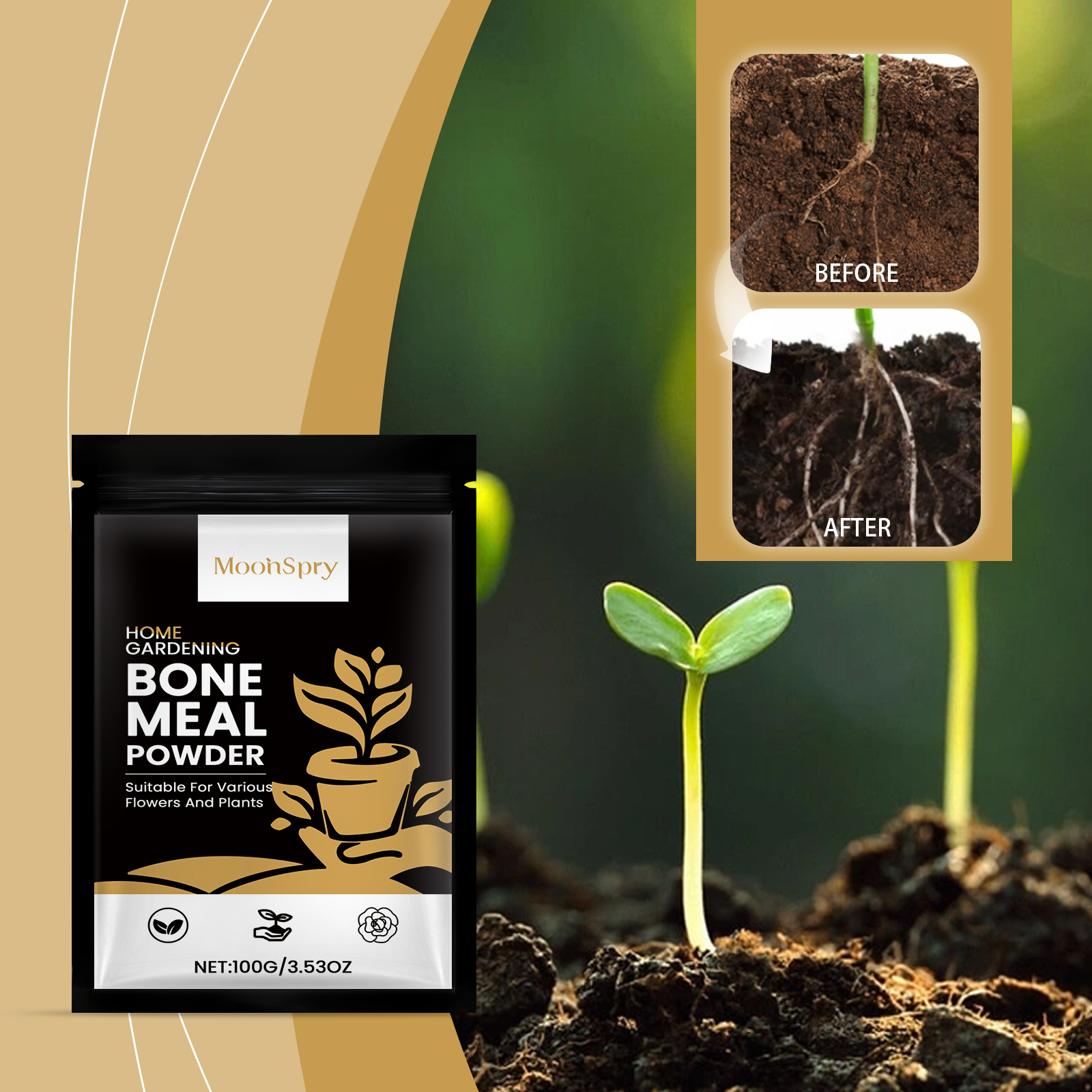 Plant pouch beside seedling and root growth imagery