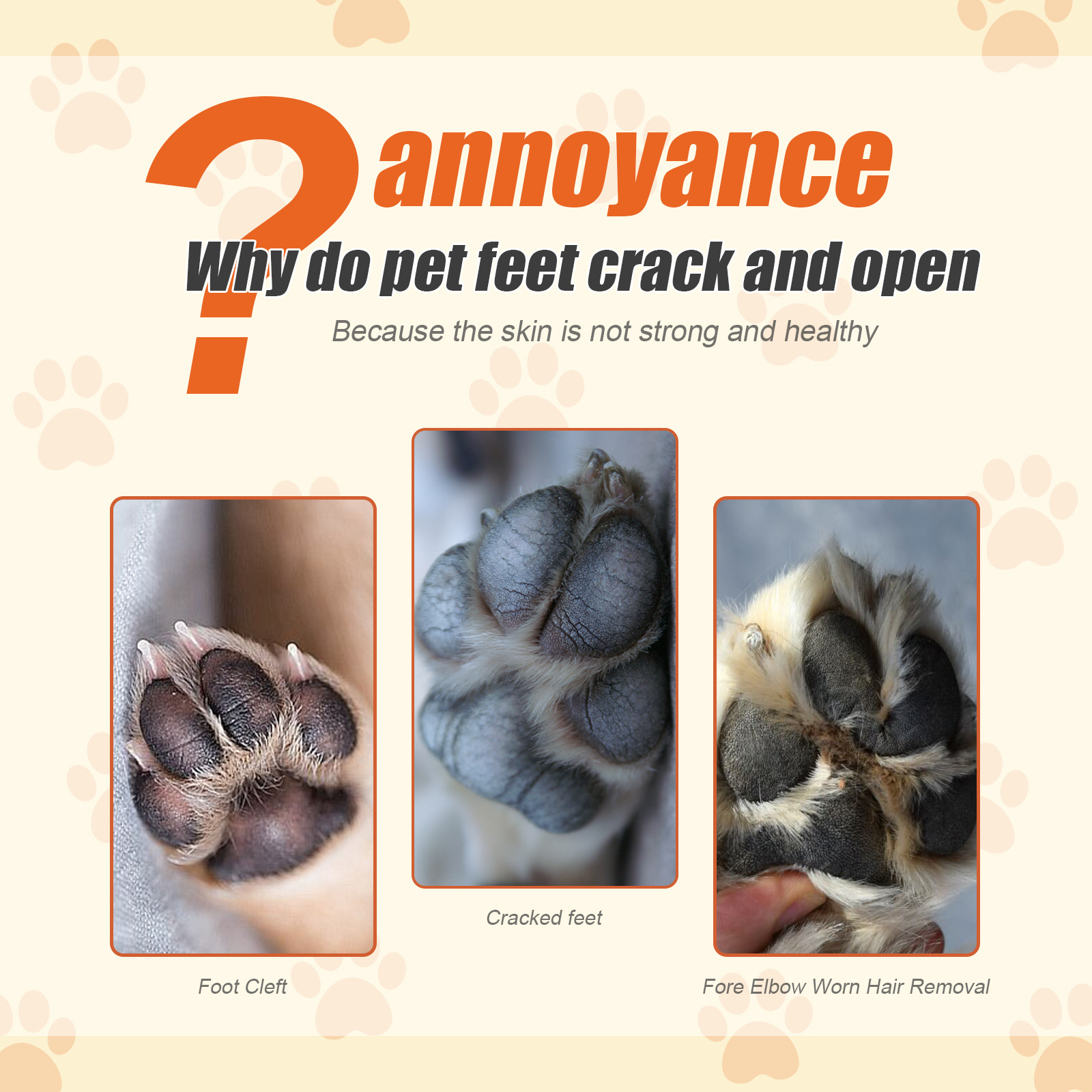 Pet paw discomfort graphic with cracked pad examples