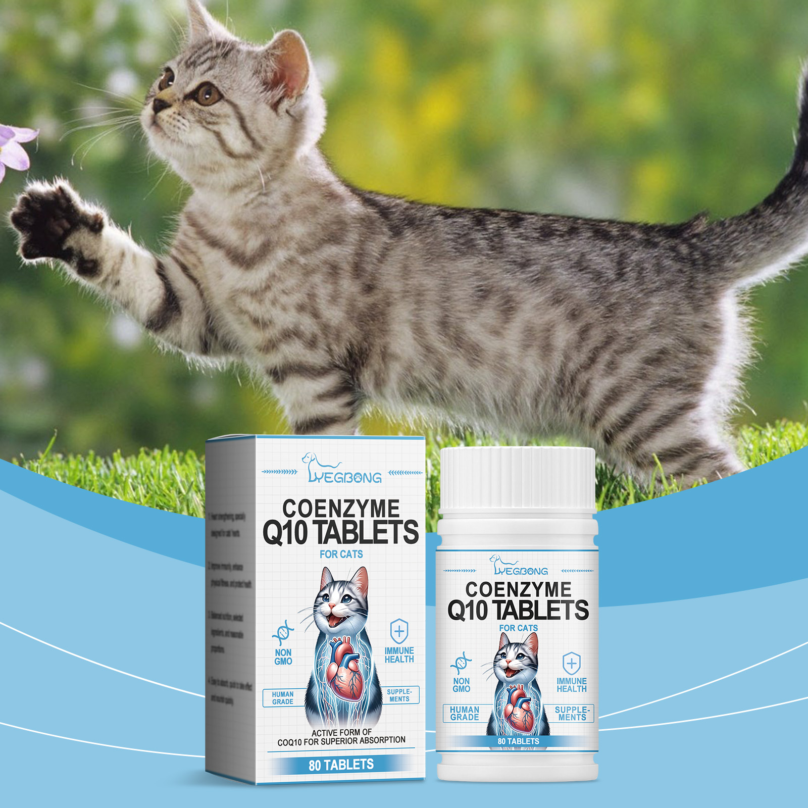 CoQ10 supplement beside active gray tabby cat