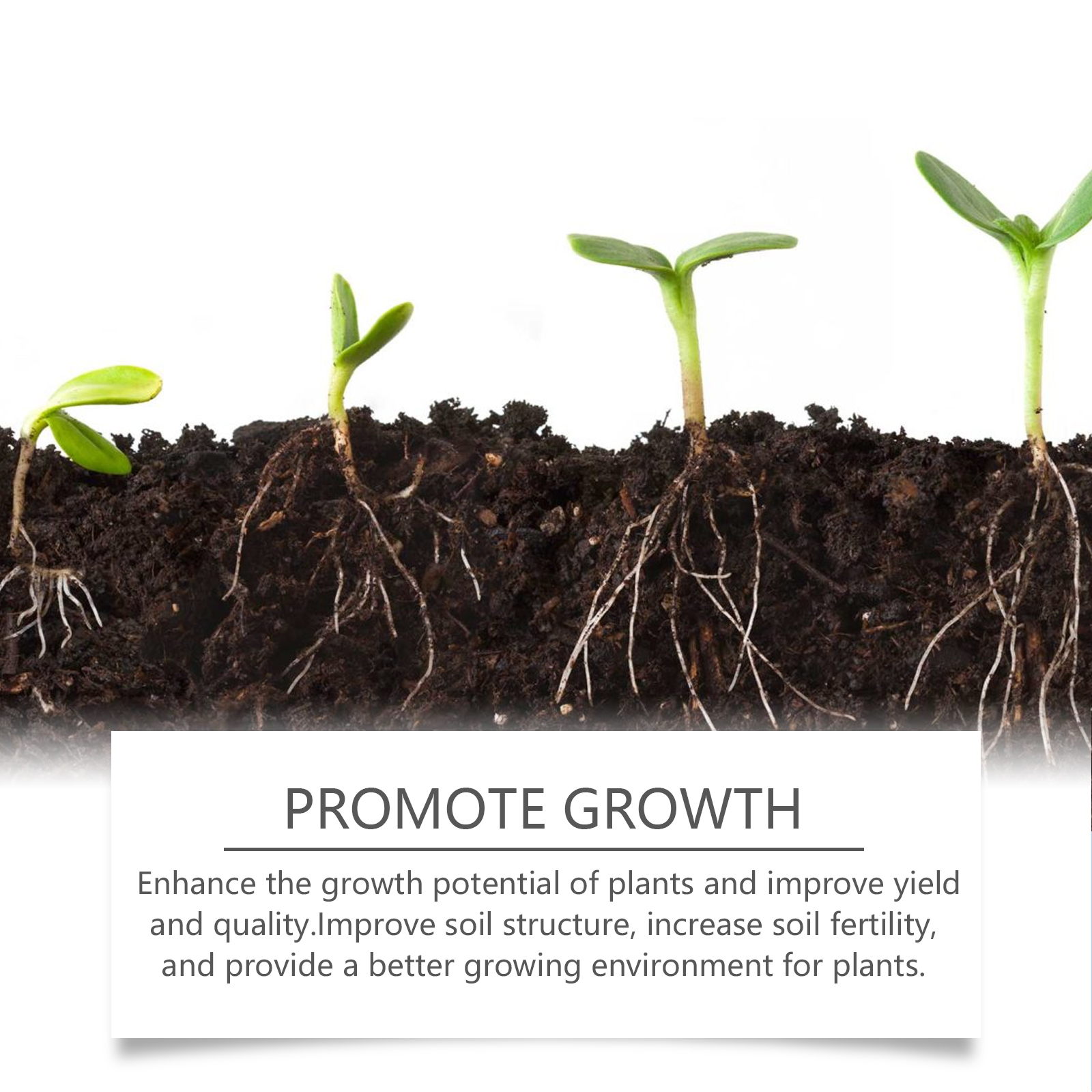 Progressive seedling growth above fertile soil cross-section