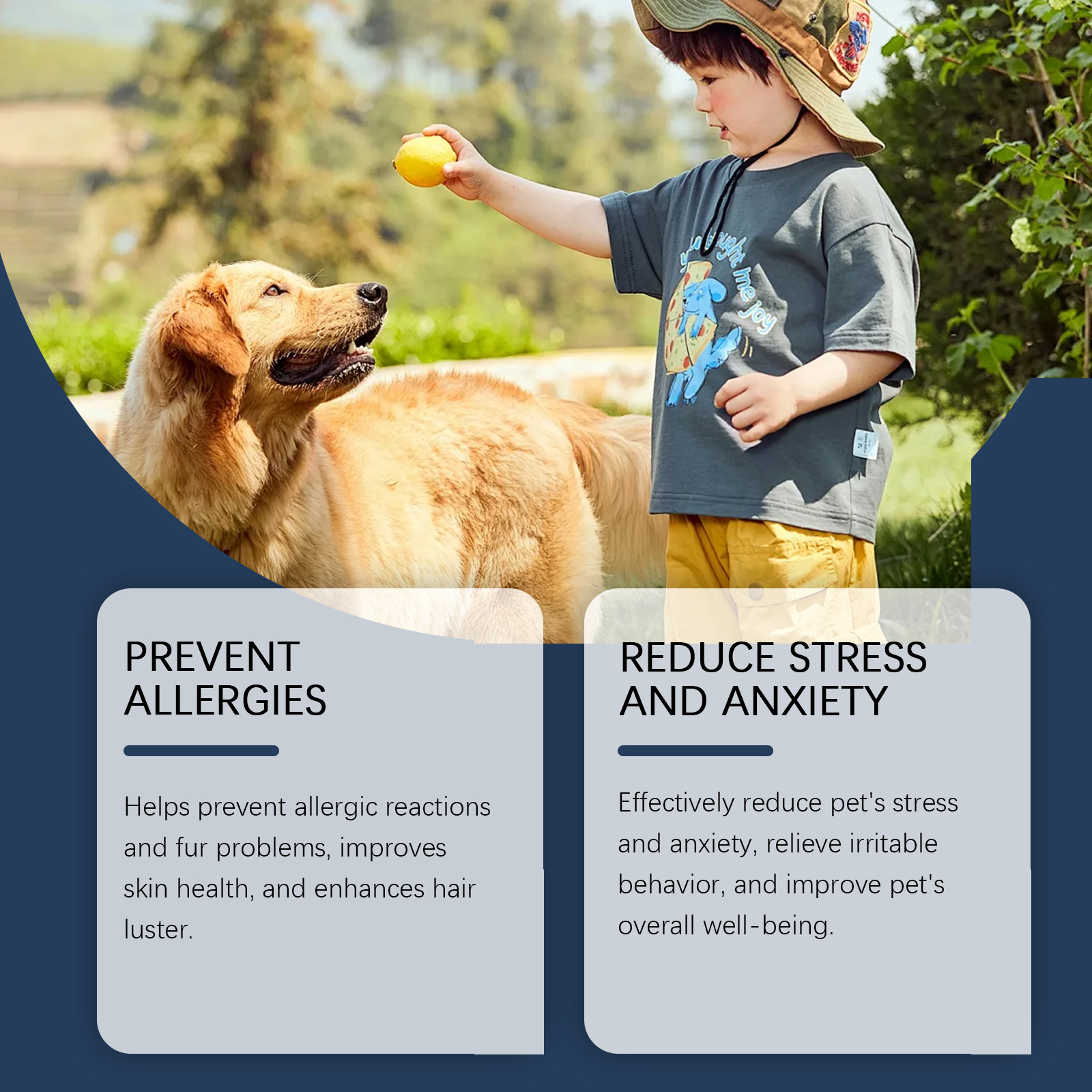 Dog owner and pet wellness benefit scene