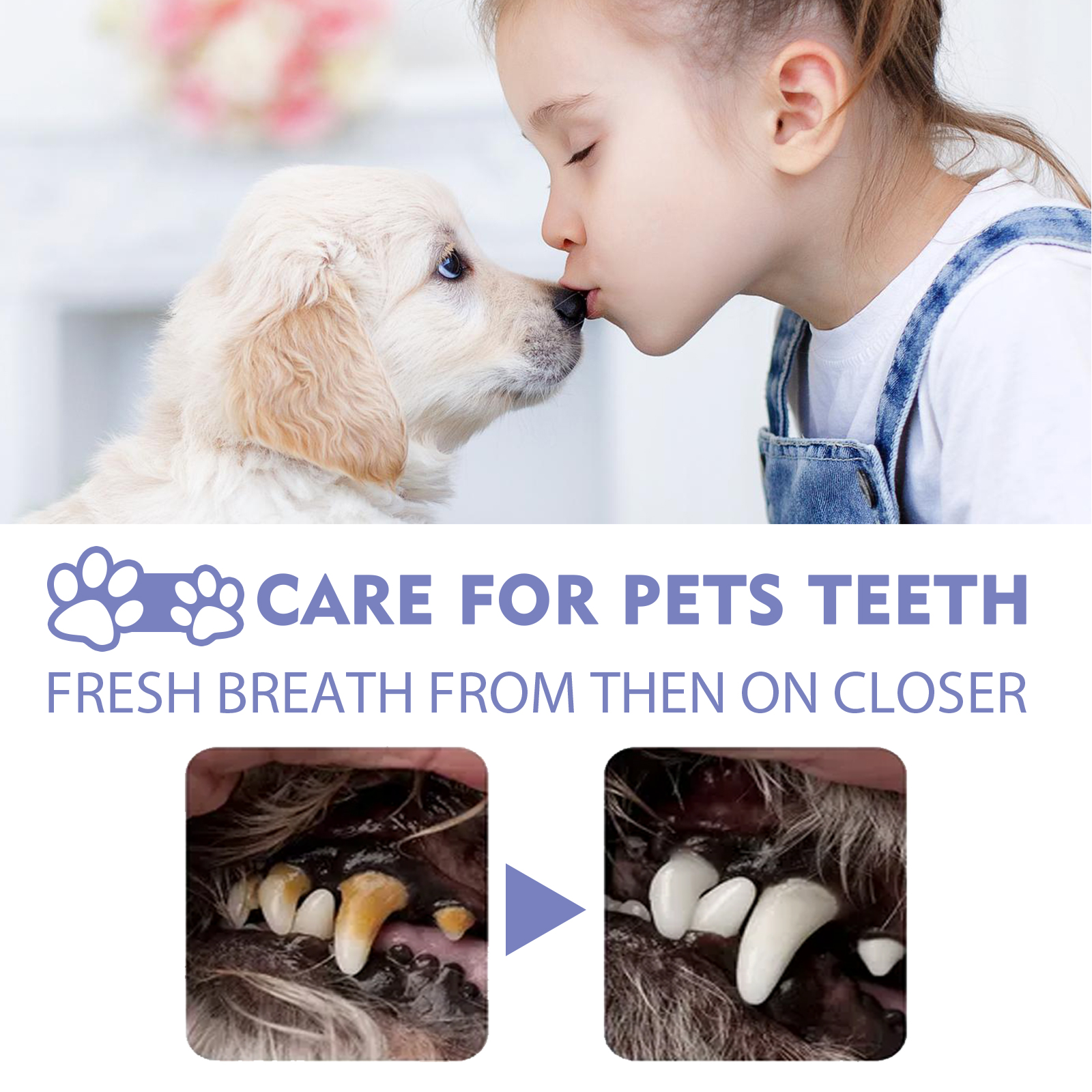 Child and puppy nose to nose above pet dental comparison photos