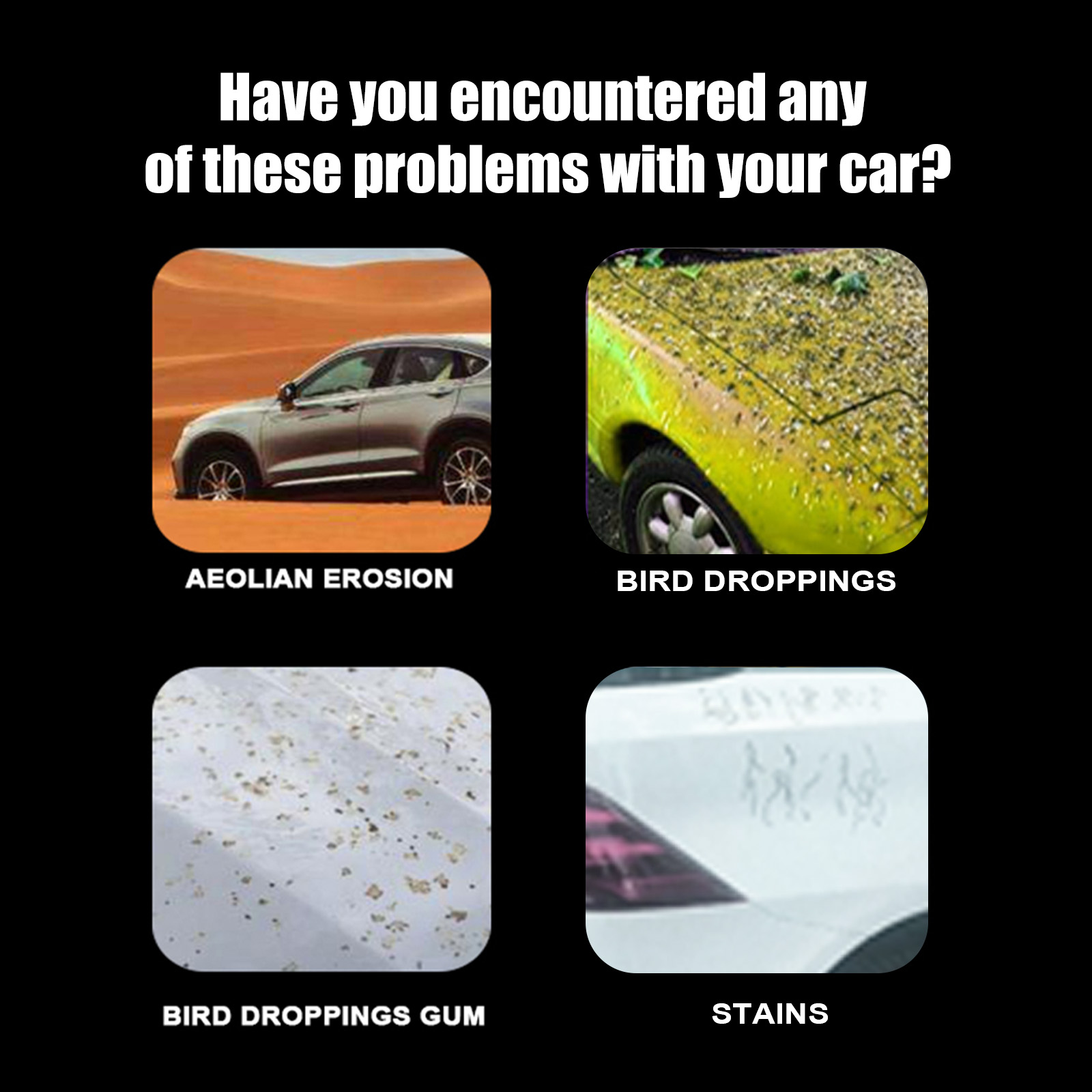 Car exterior contamination and bird dropping residue graphic