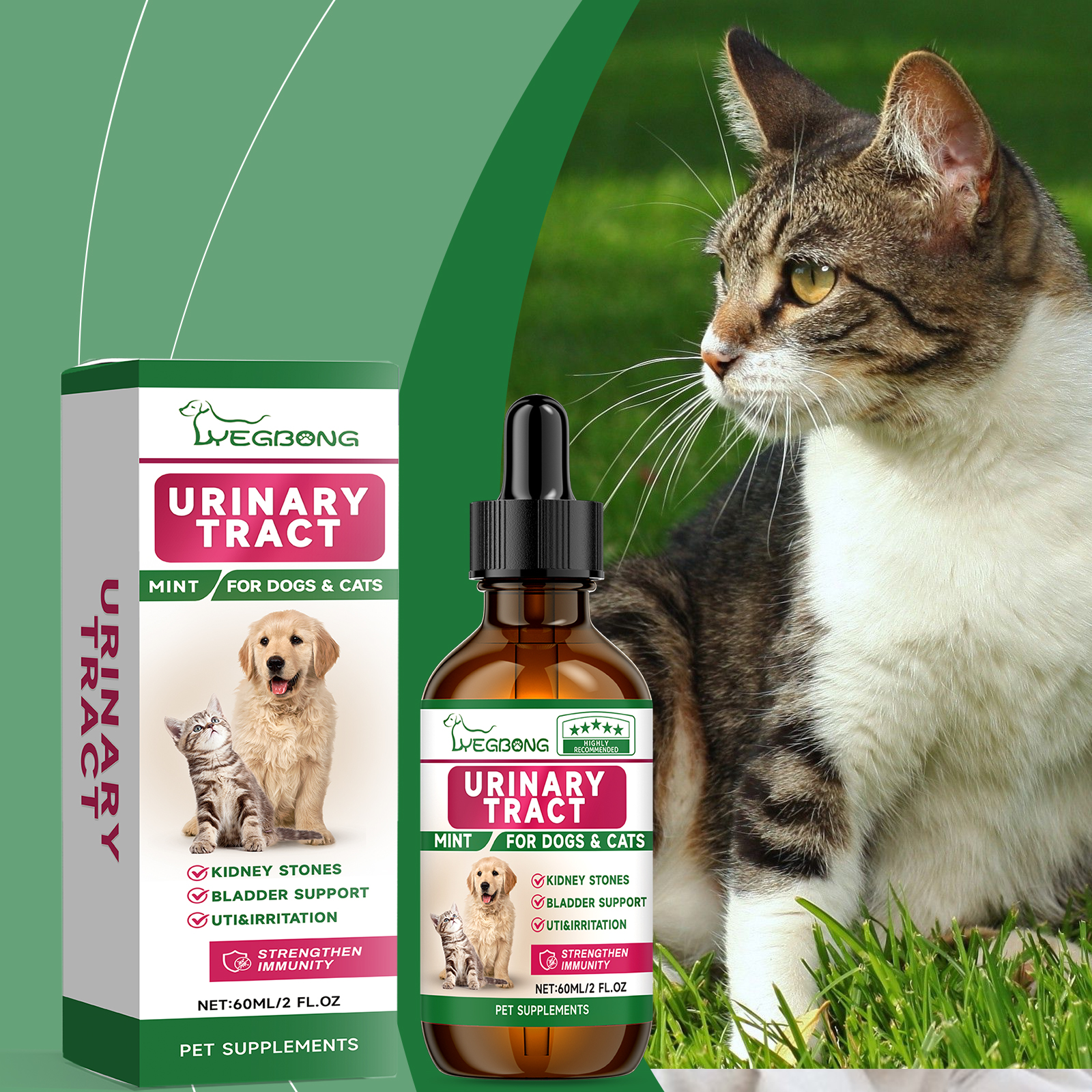 Pet supplement beside a cat during home wellness care