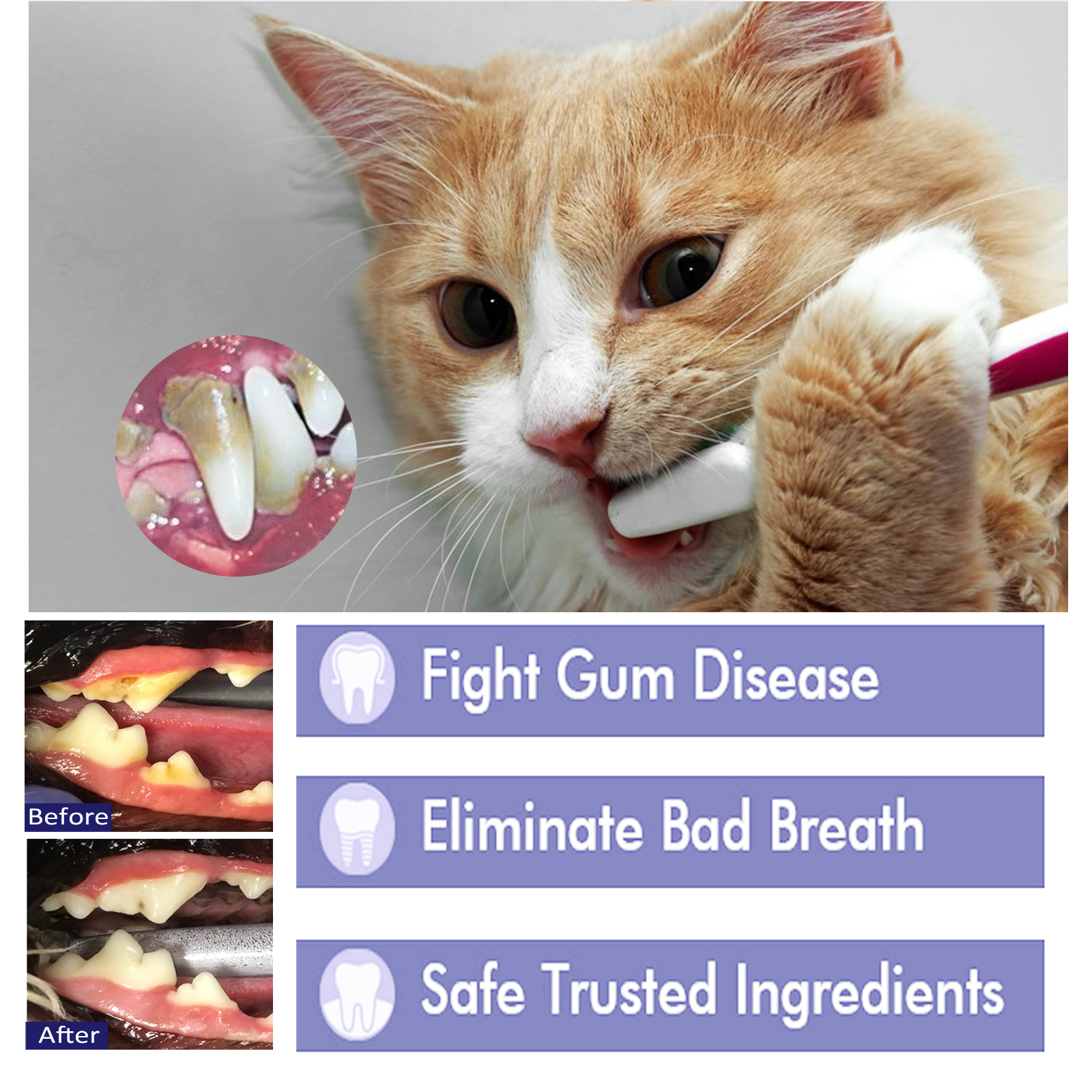 Compact squeeze tube with pet toothpaste carton
