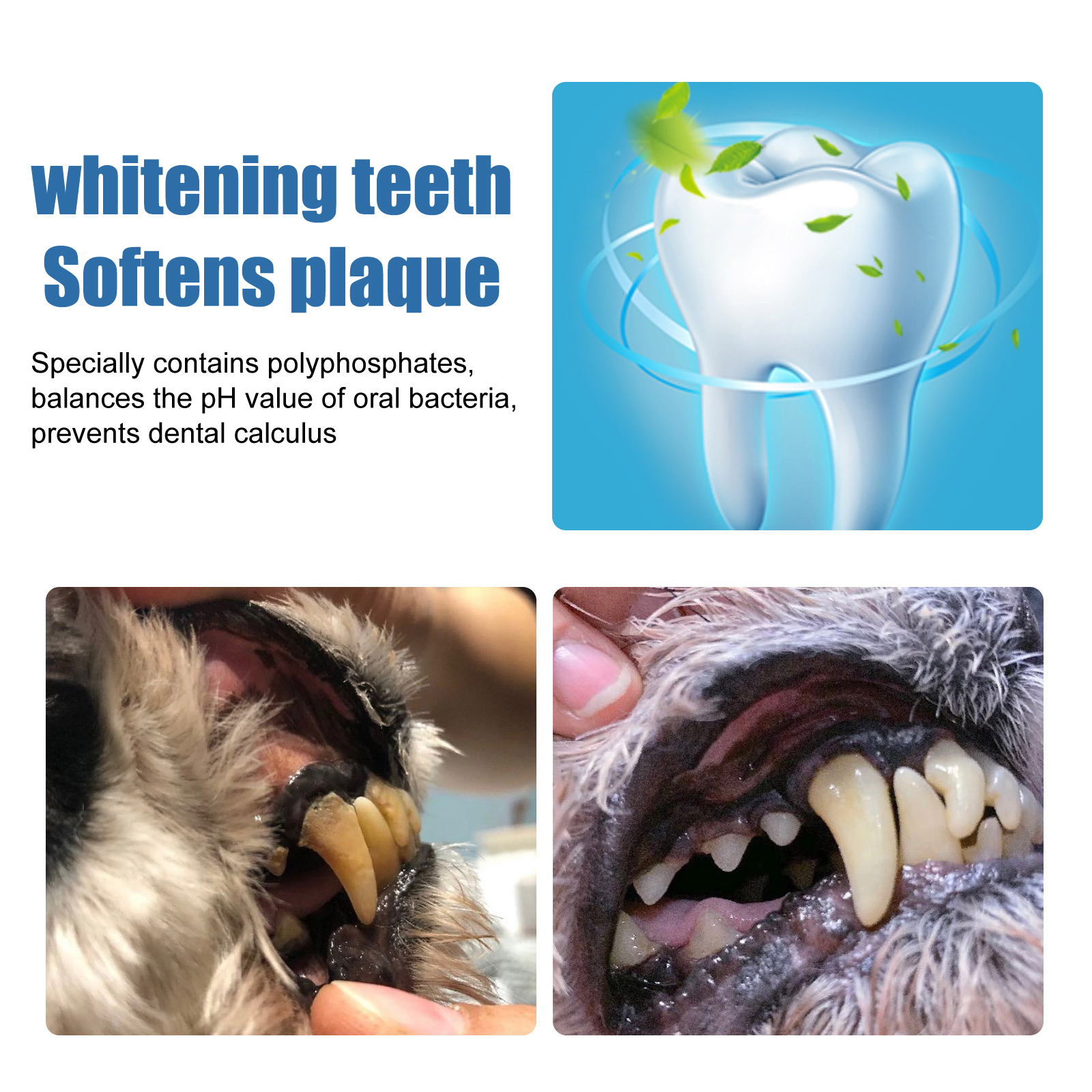 Pet oral cleaner label with polyphosphate wording