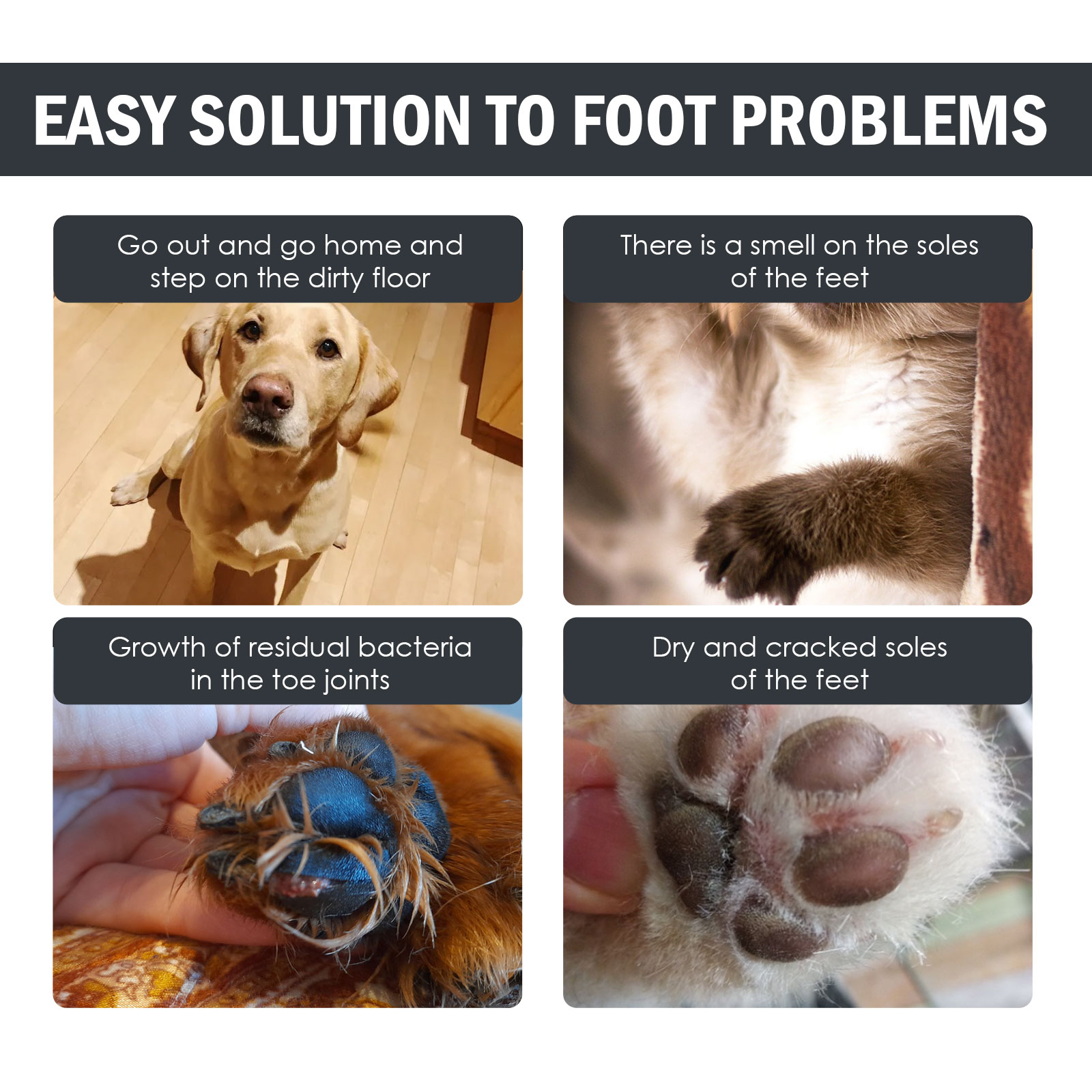Illustrated problems addressed by paw cleaner