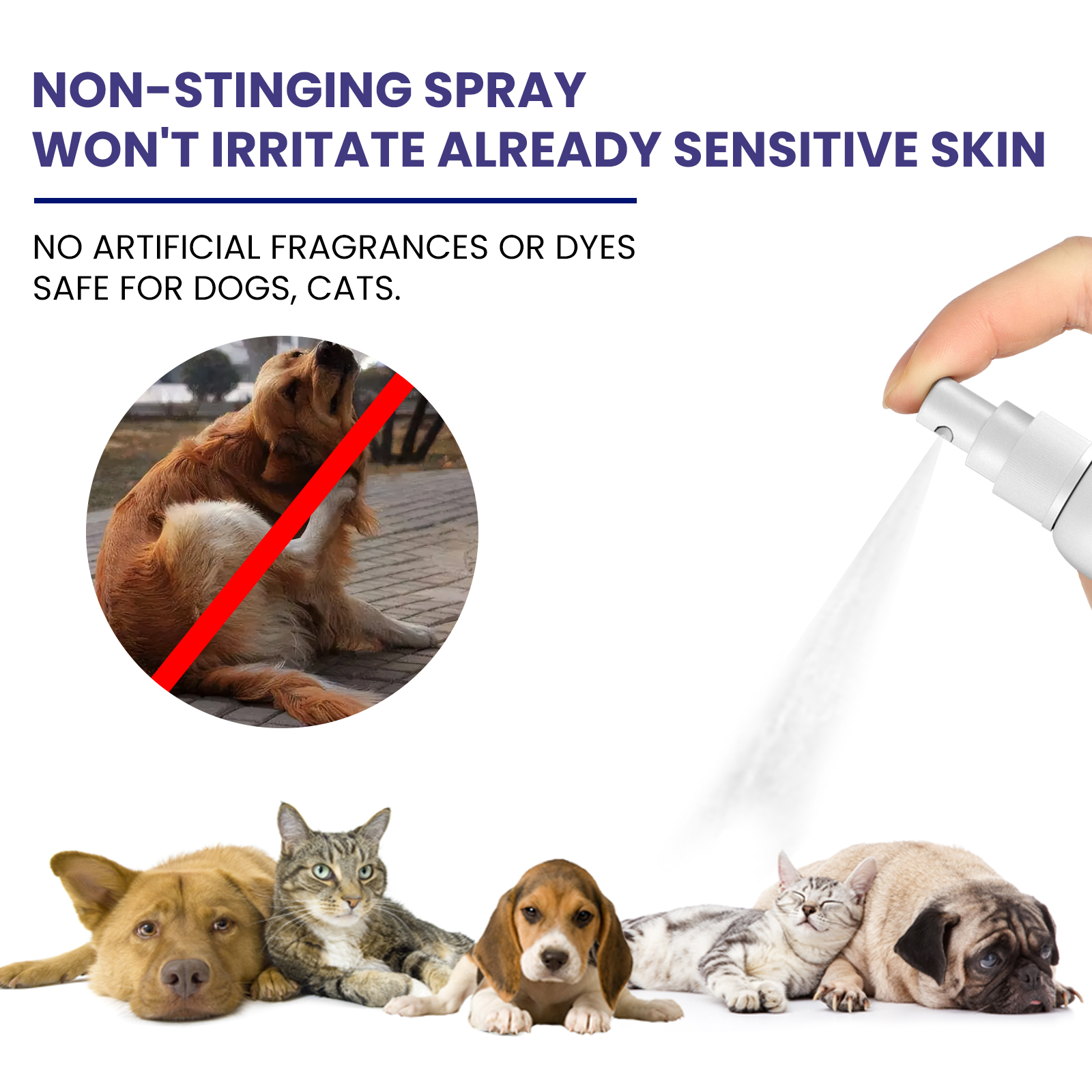 Hand applying fine mist near dogs and cats