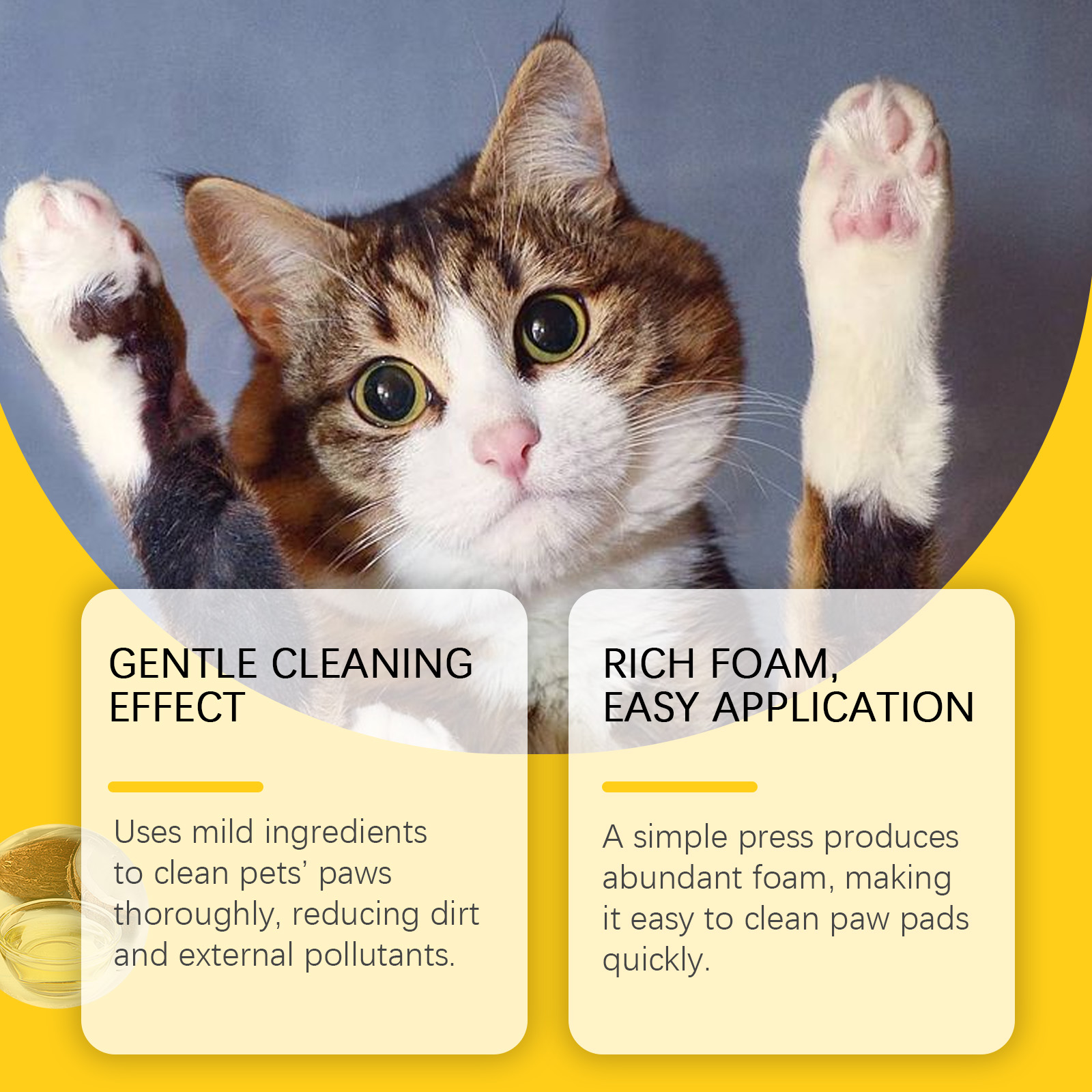 Cat paws shown with rich foam paw cleaning application