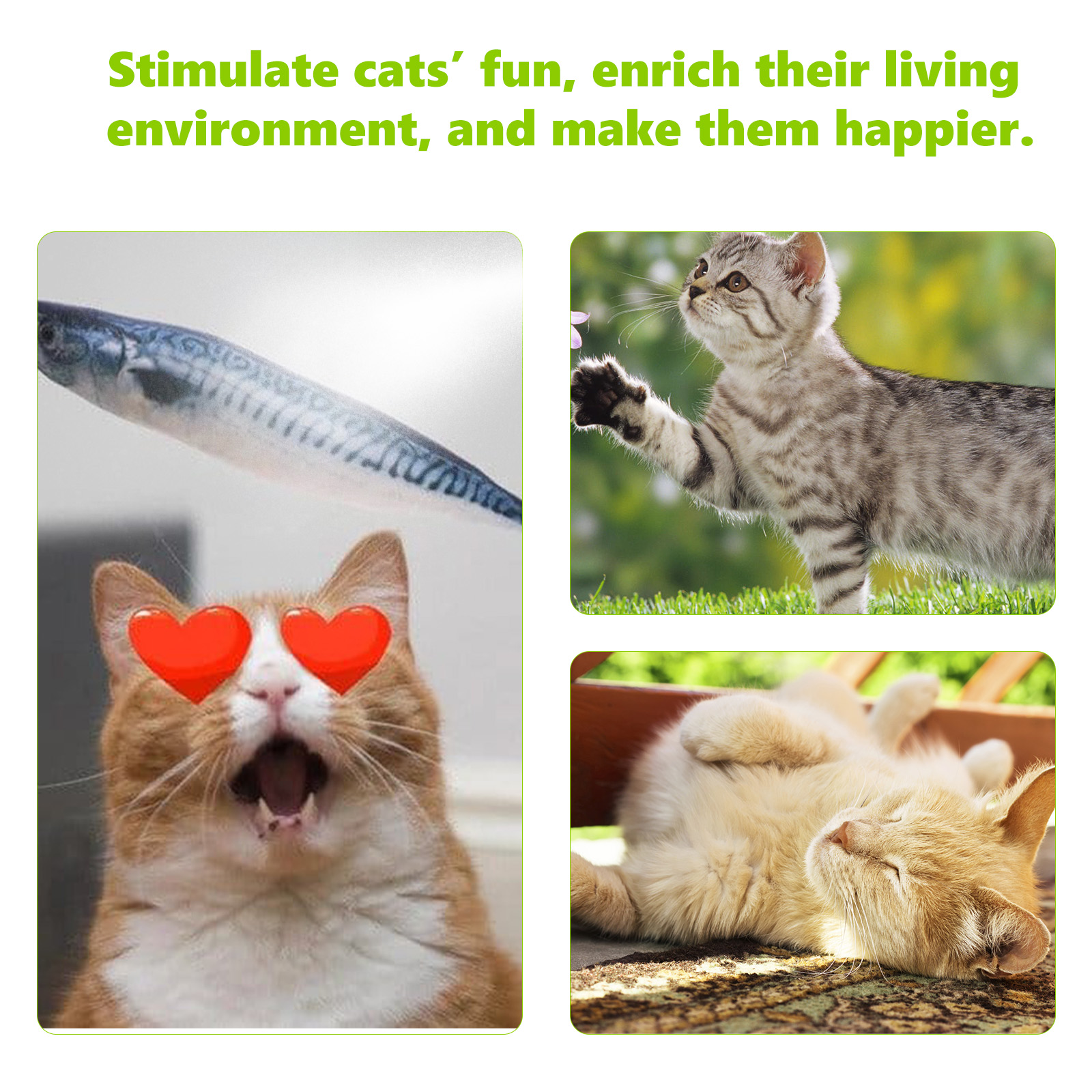 Cat enjoying a playful and relaxed enrichment moment