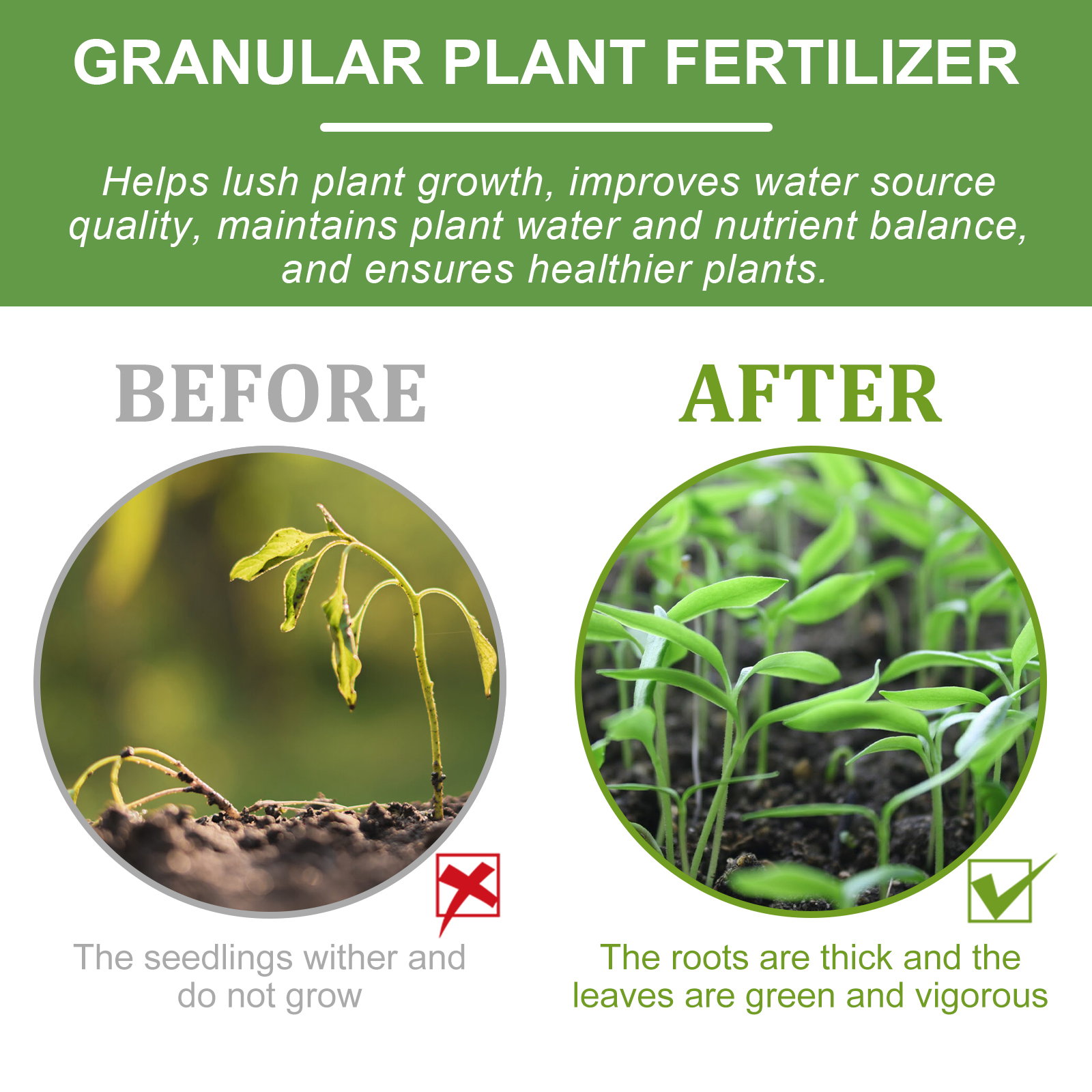 Gardener caring for potted plants with green fertilizer bottle