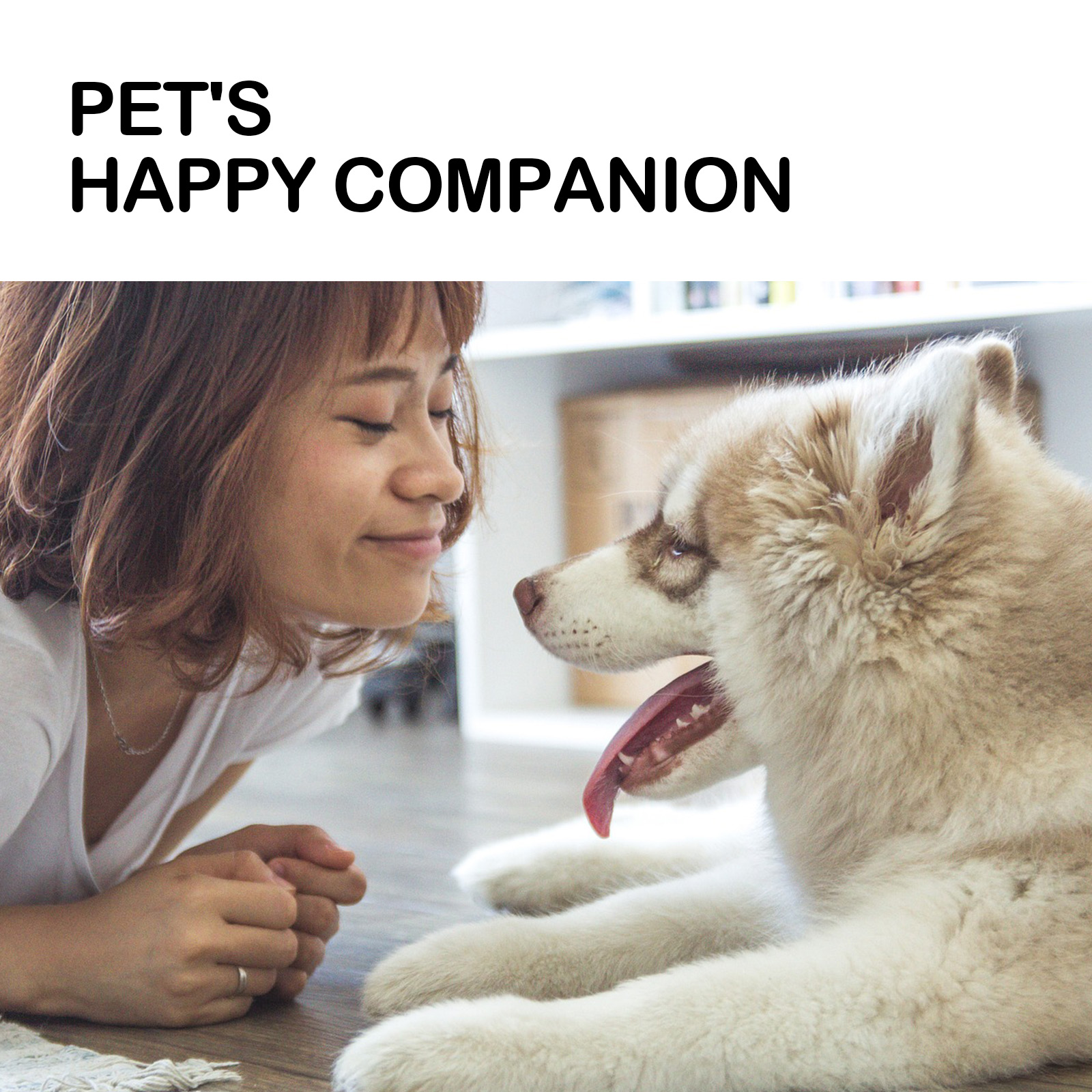 Happy dog with owner during a calm home care routine