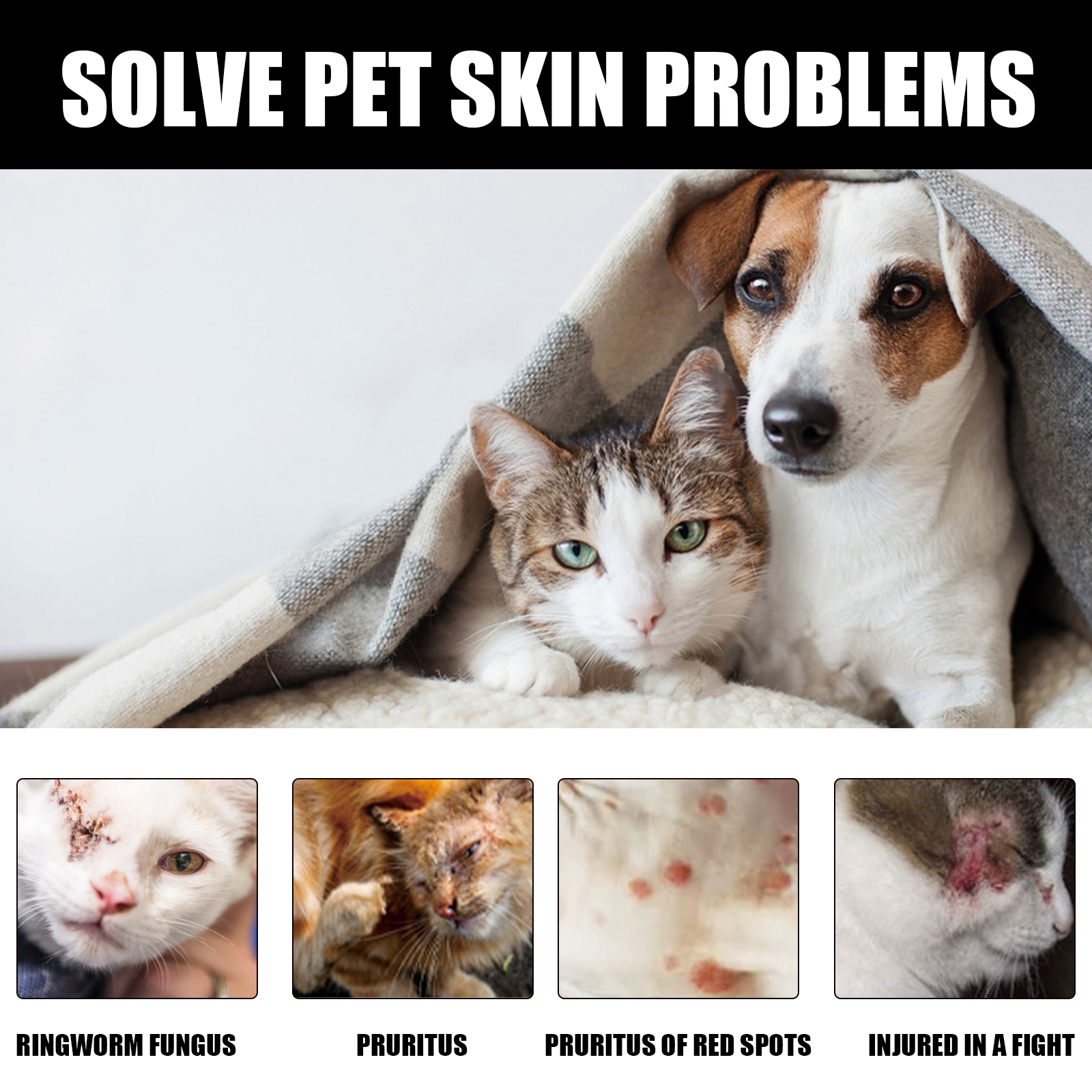 Pet skin concern infographic for topical care spray