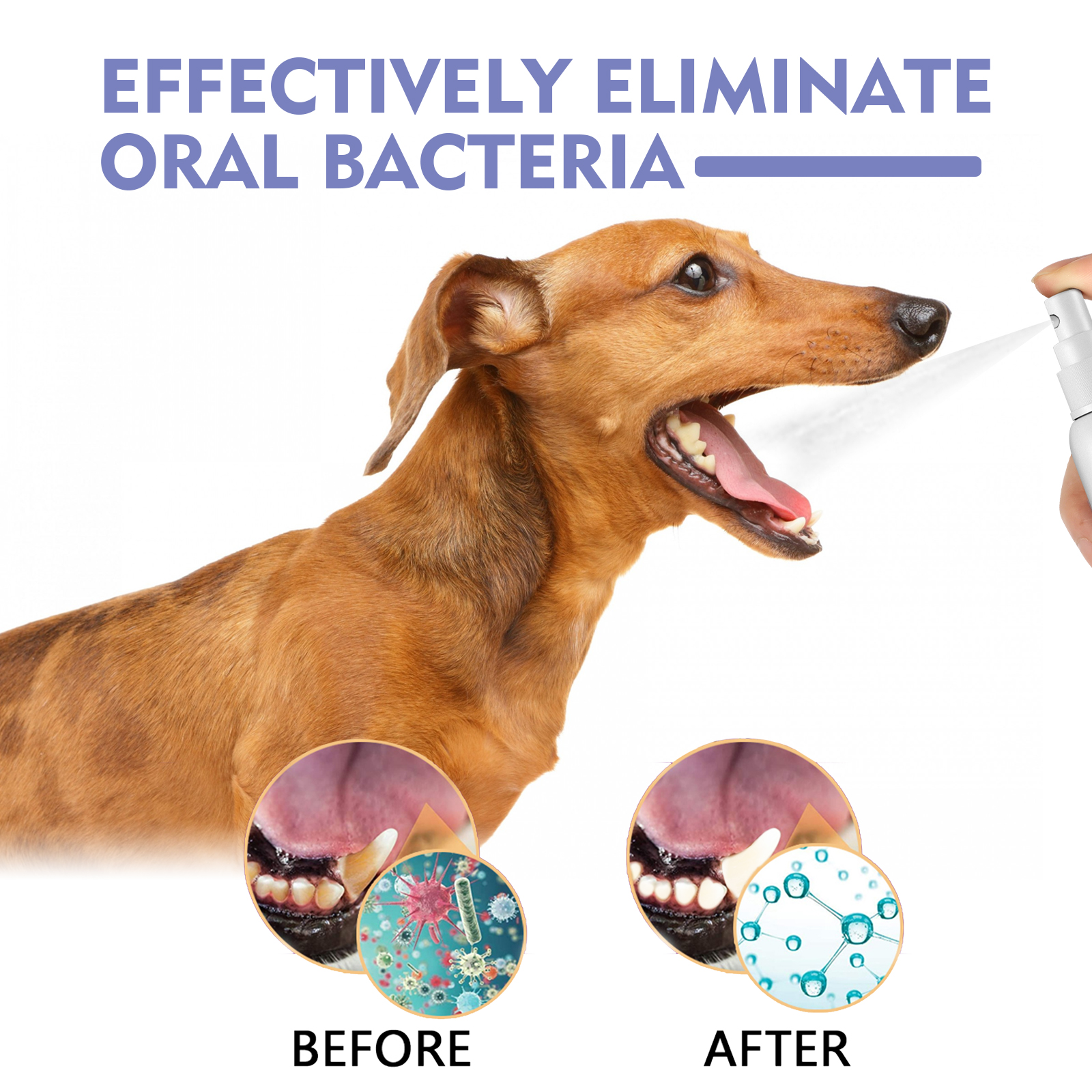 Compact purple oral spray product detail for pets