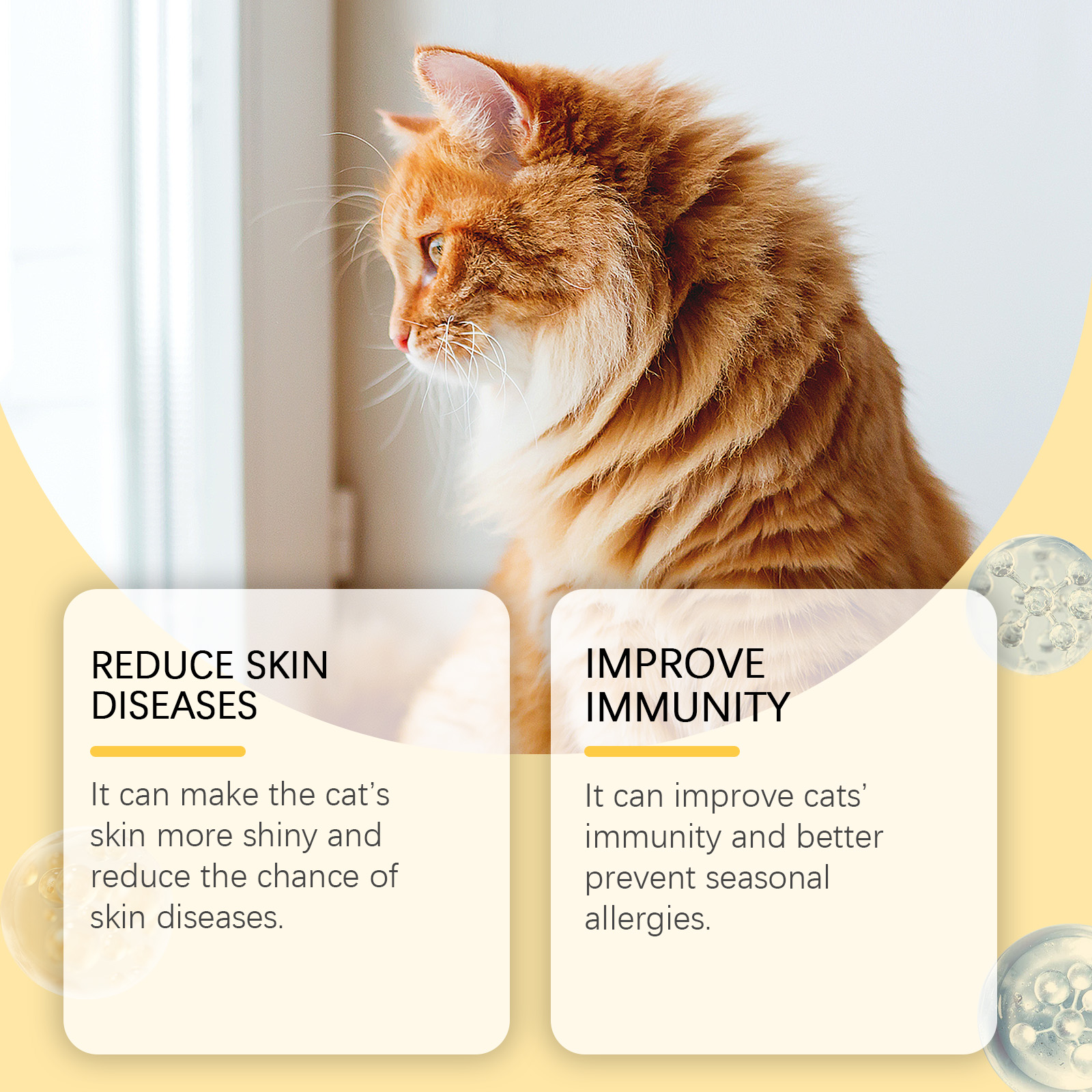 Orange cat beside fish oil care benefit callouts