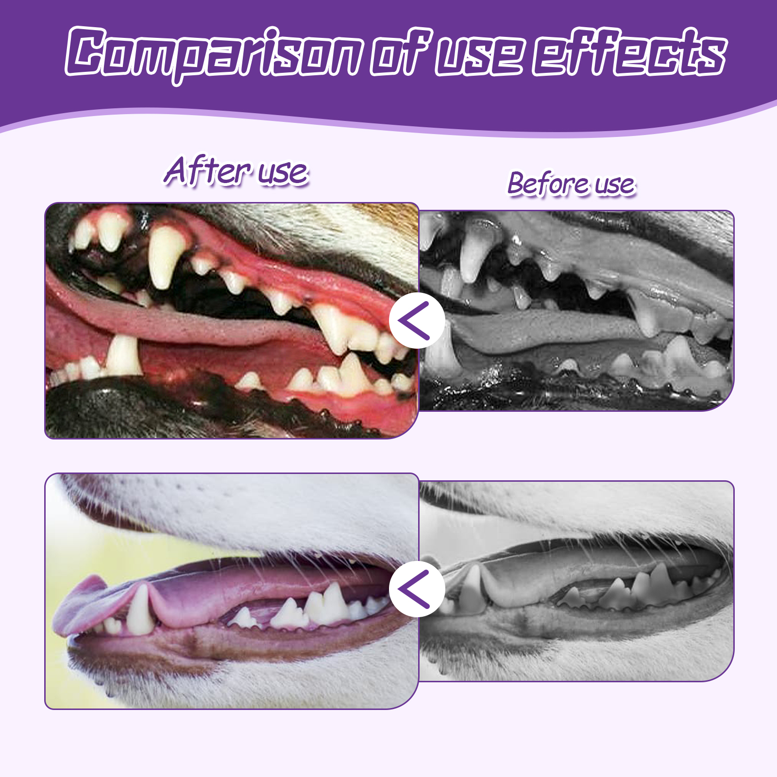 Dog toothbrush set shown with protective translucent case