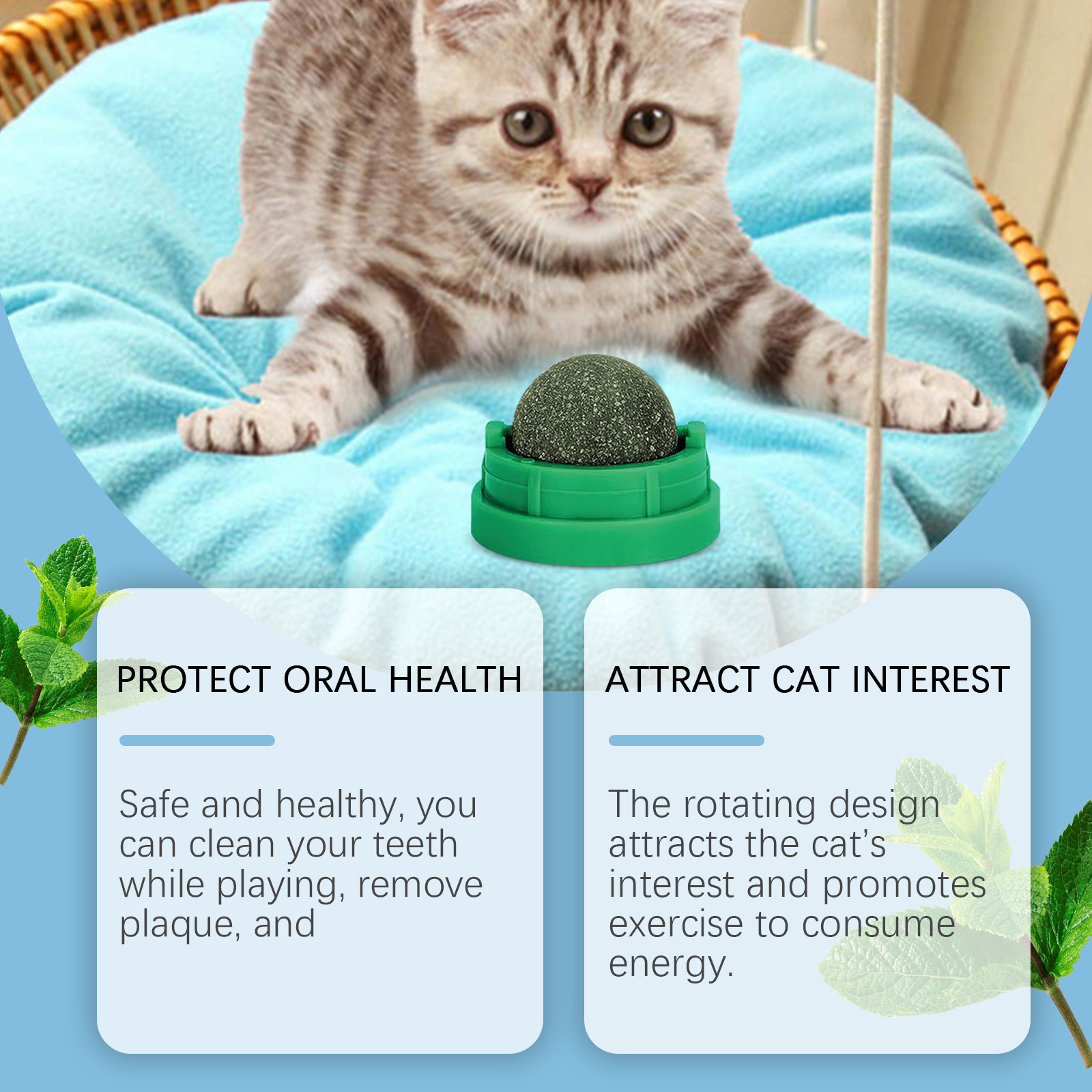 Kitten engaging with textured green dental ball toy