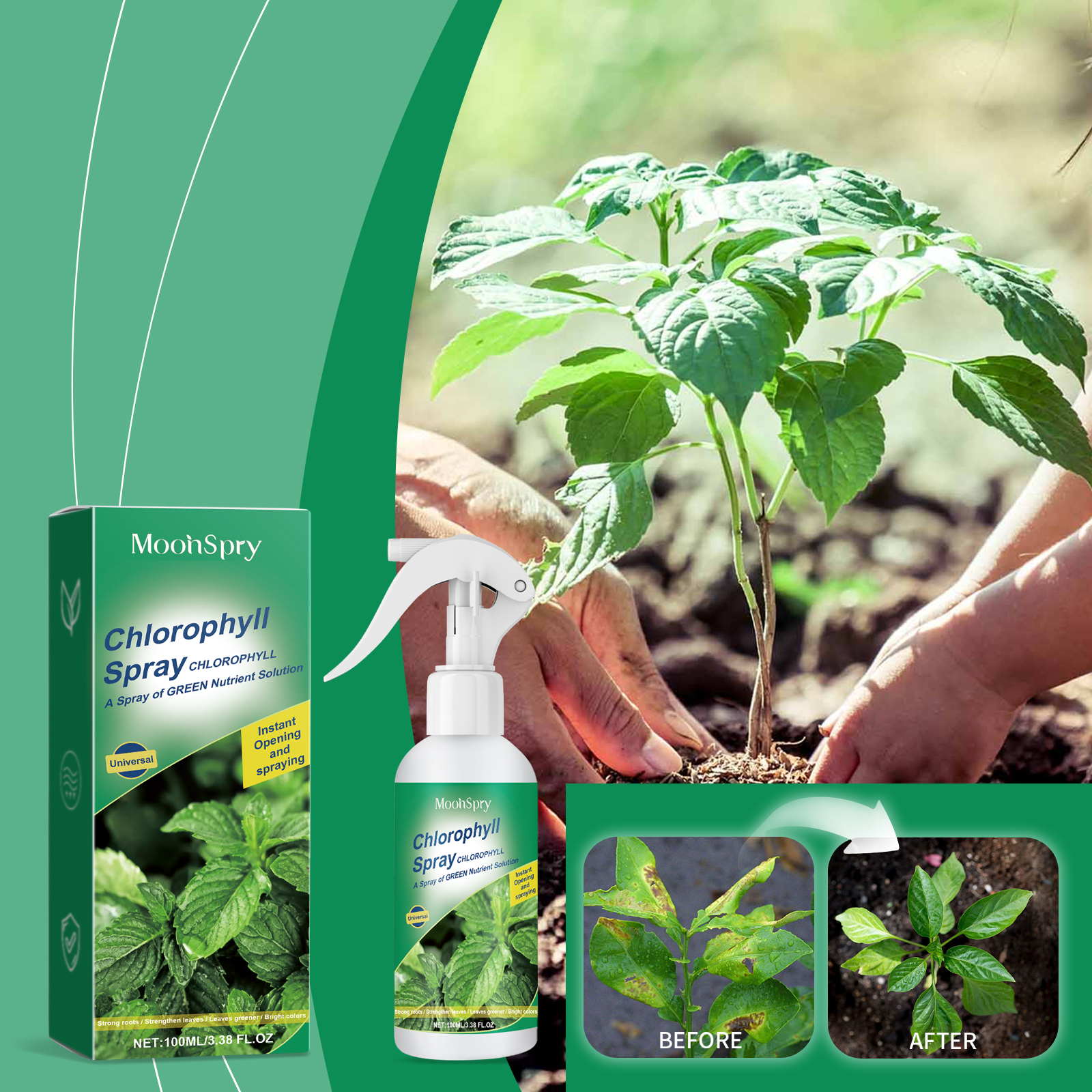 Chlorophyll spray displayed beside leafy plants and flowers