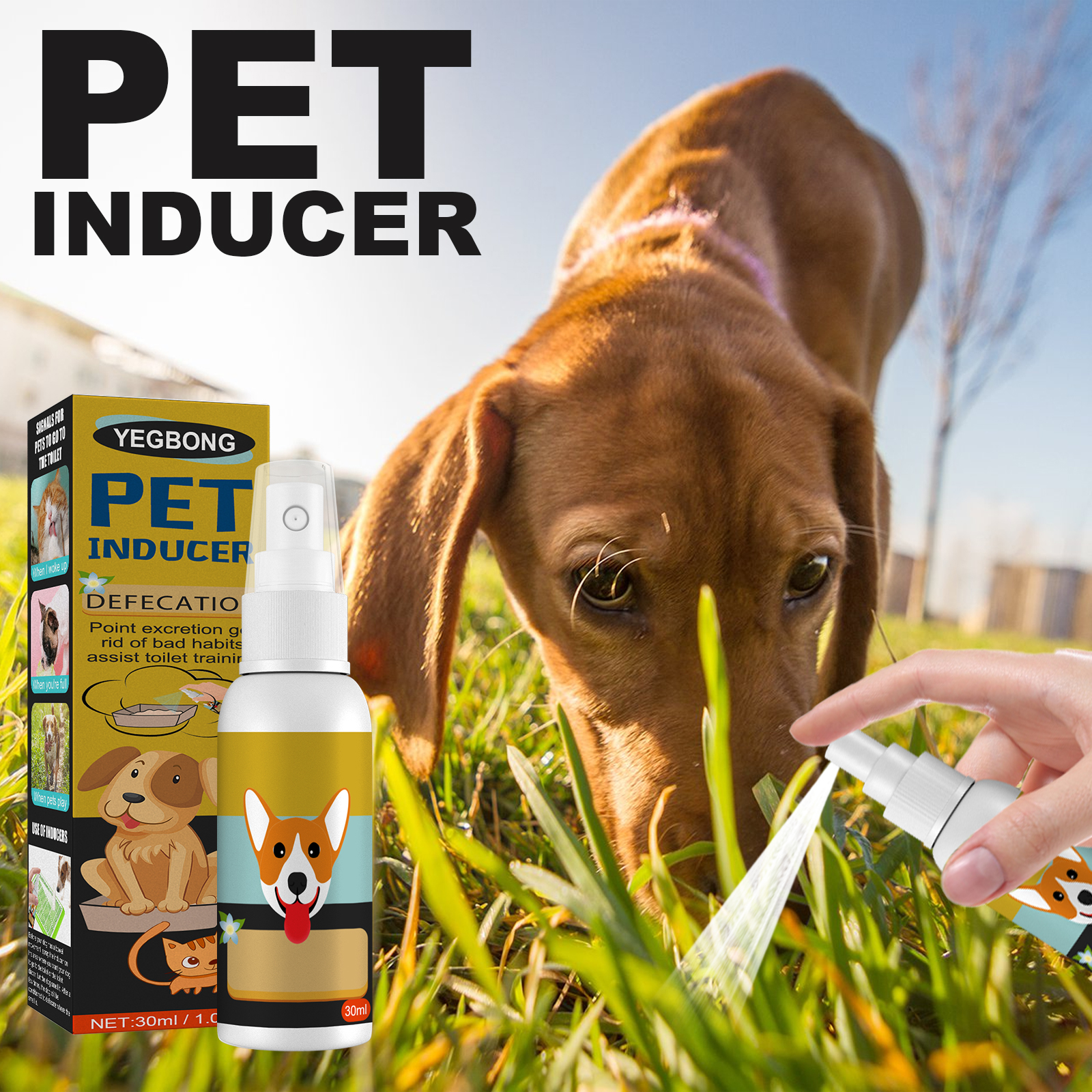 Fine mist pet spray used near dog outdoors
