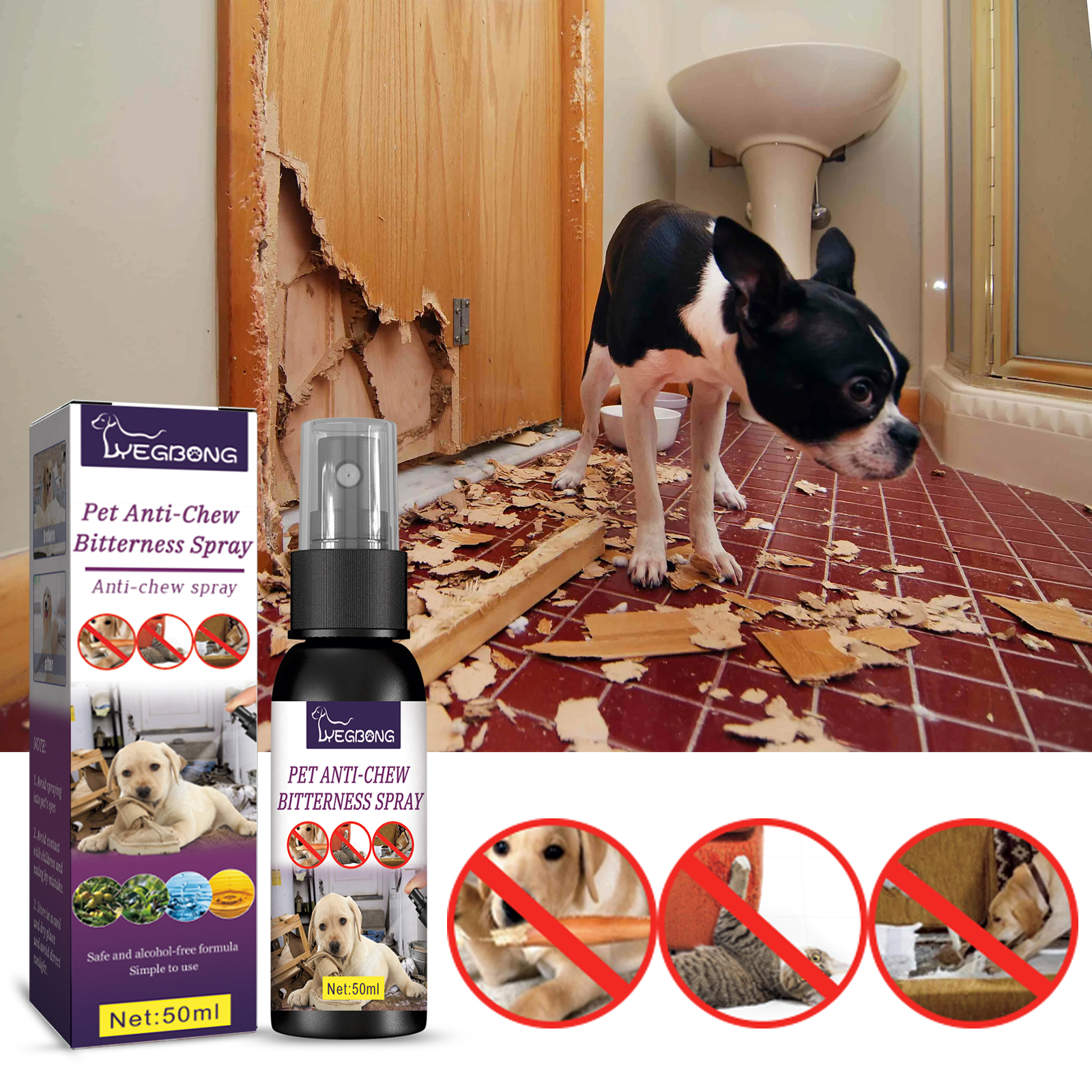 Dog and spray near damaged indoor household surface