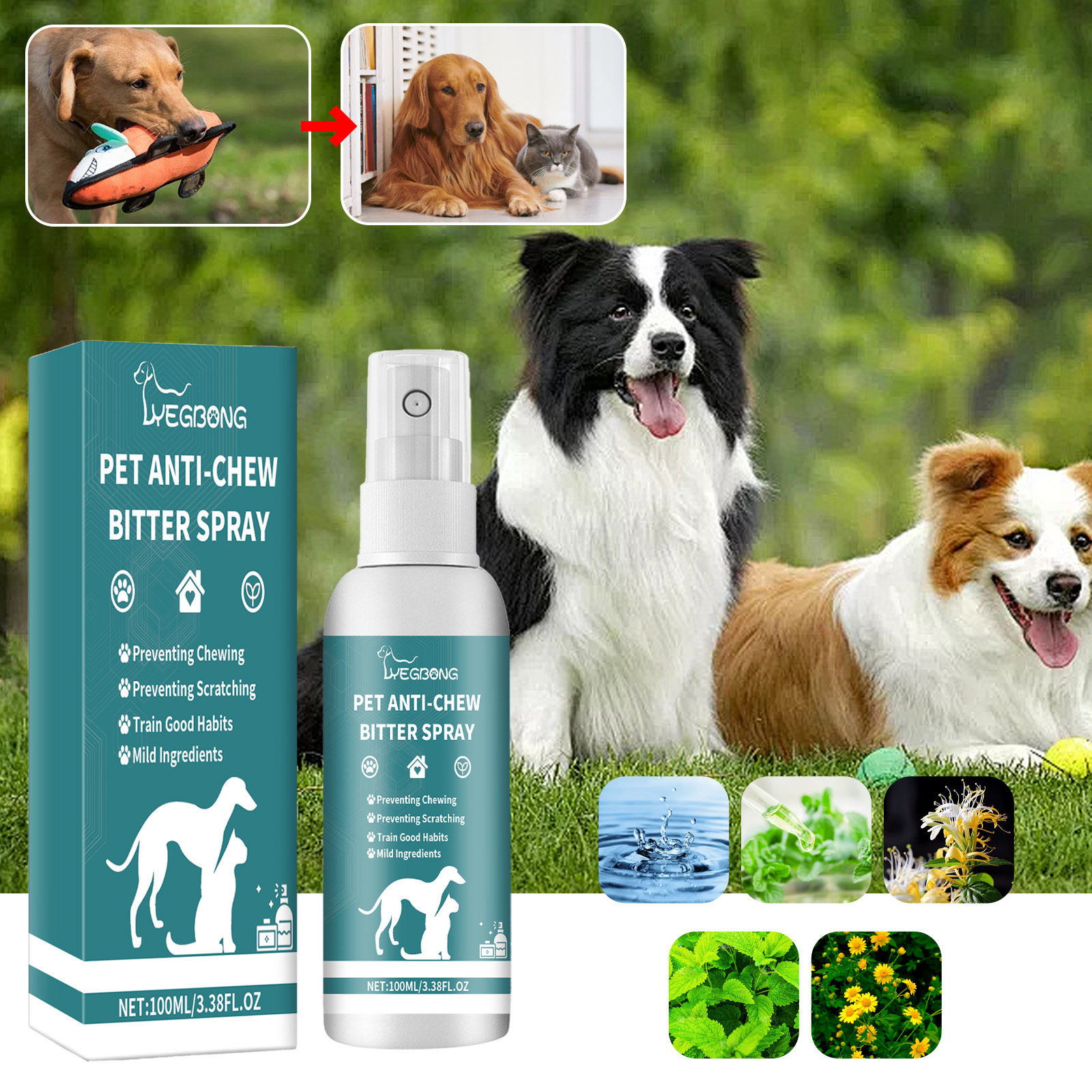 Pet behavior spray shown beside sofa shoes bedding and plants