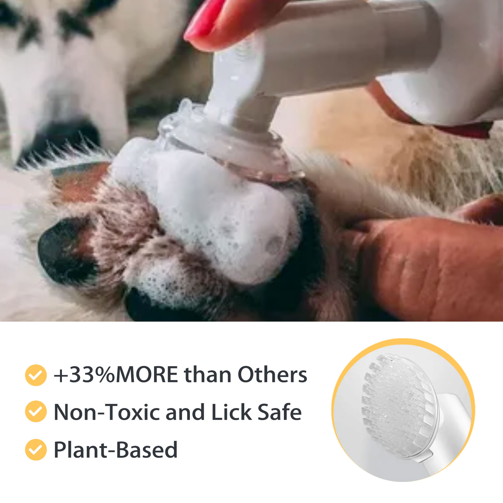 Close detail of compact paw cleaning bottle