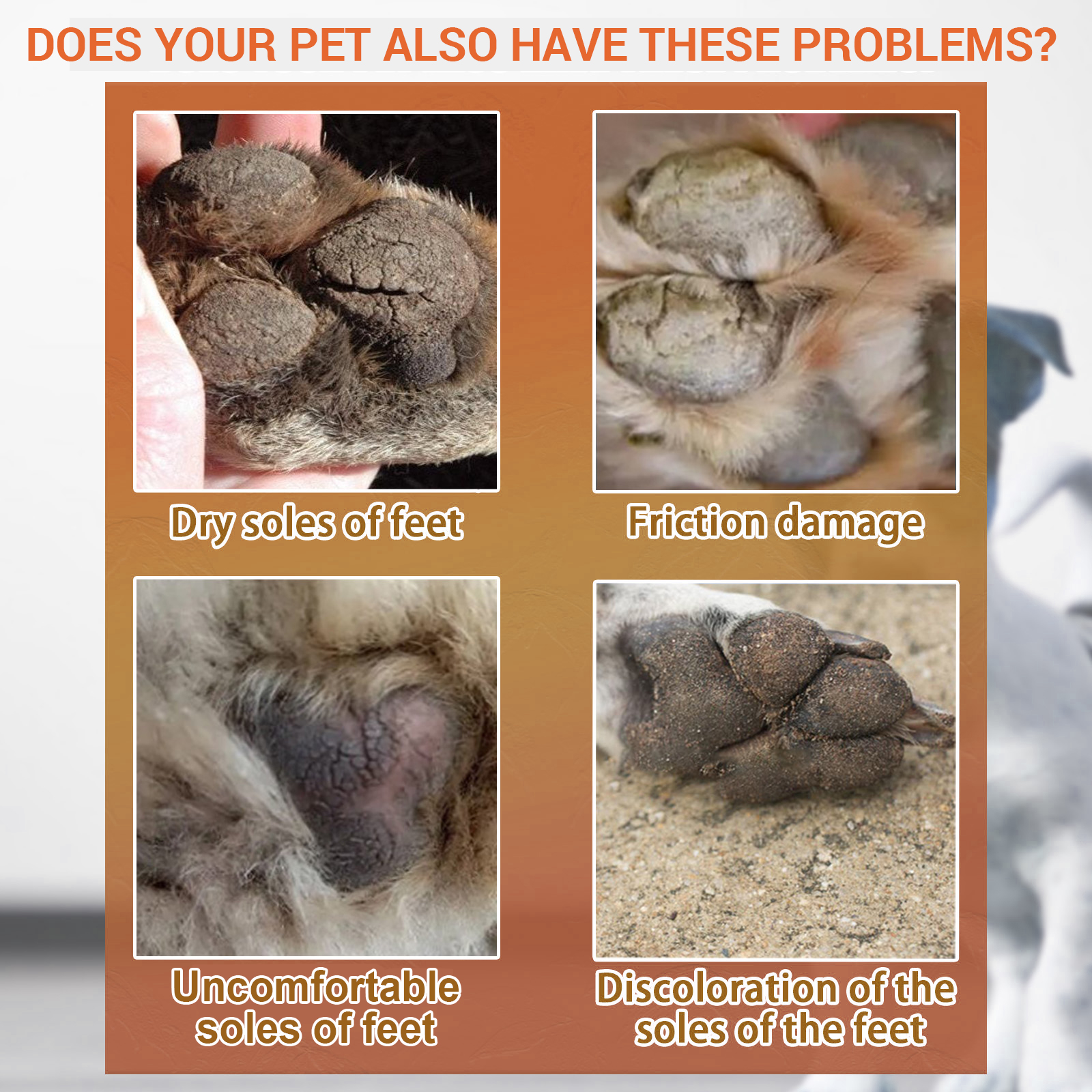 Compact paw balm jar showing easy-access format