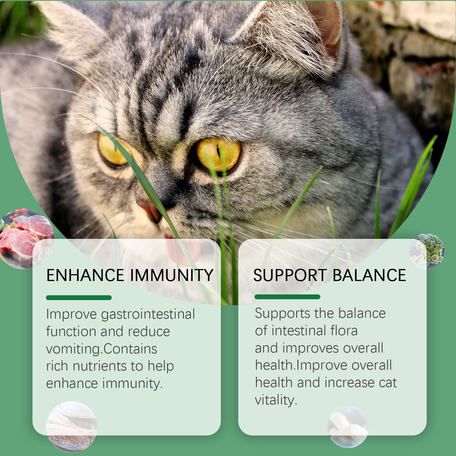 Gray cat beside grass and digestive support messaging