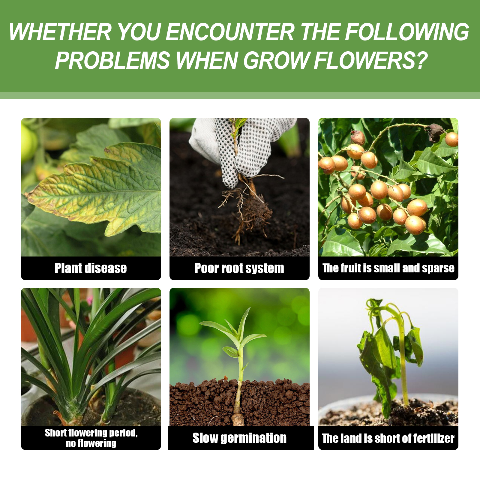 Green fertilizer bottle beside mixed household garden plants