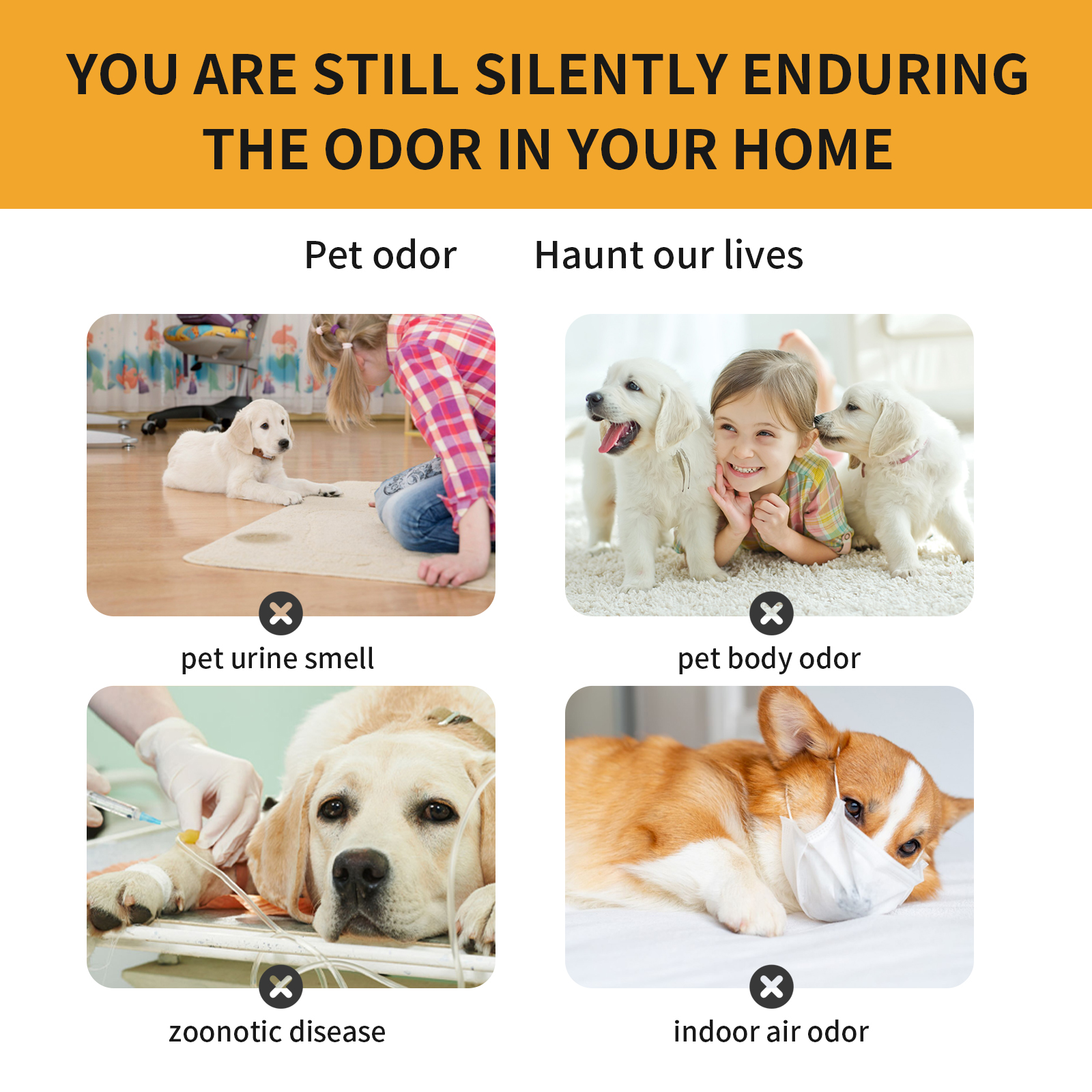 Compact pet deodorizer bottle ready for storage