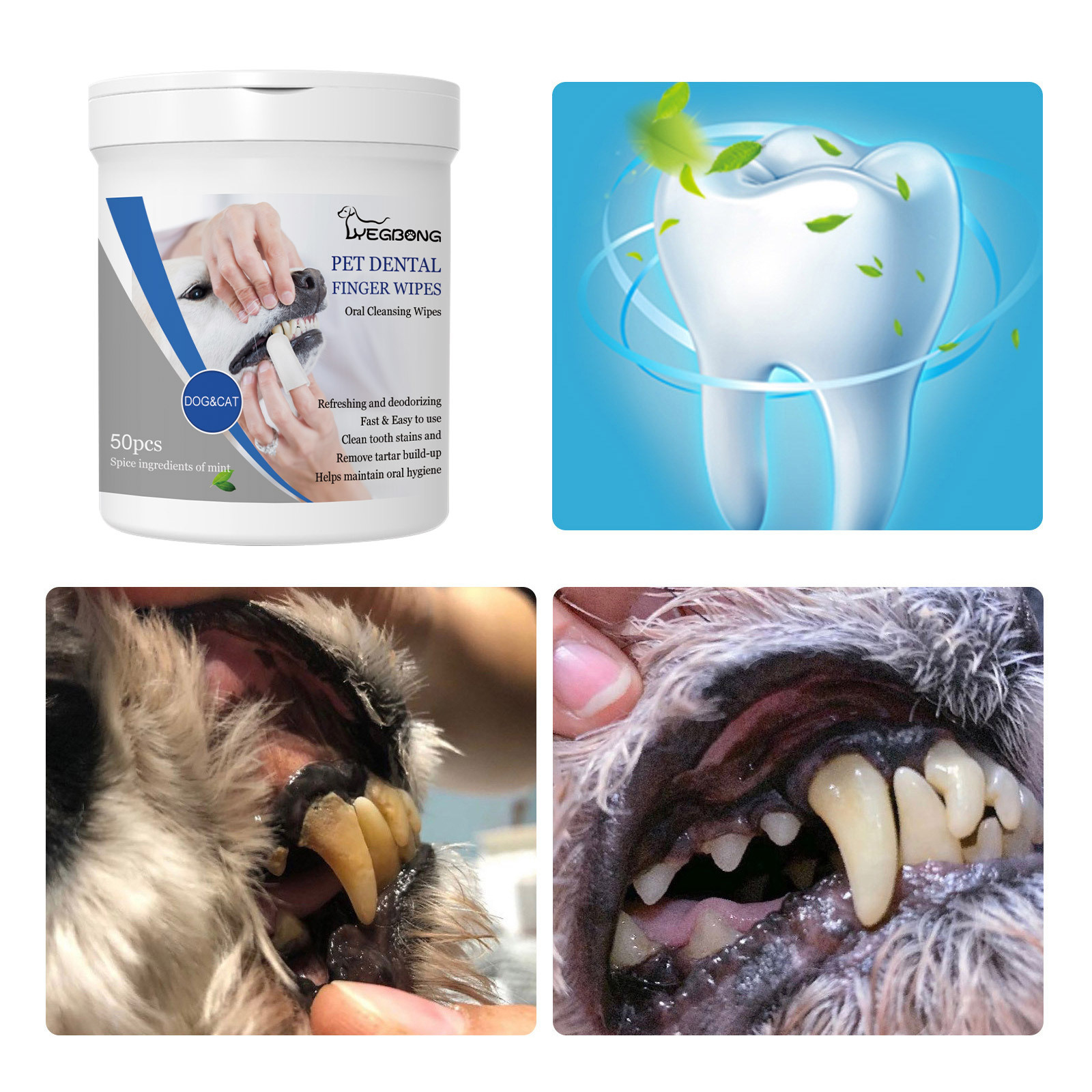 Mint dental wipe tub beside dog teeth illustration