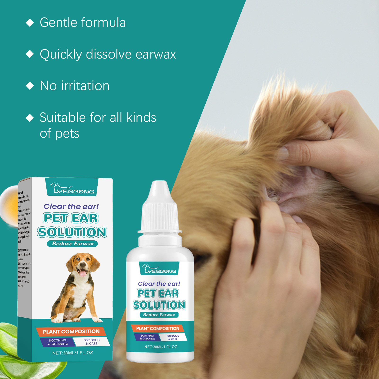Owner checking pet ear during grooming