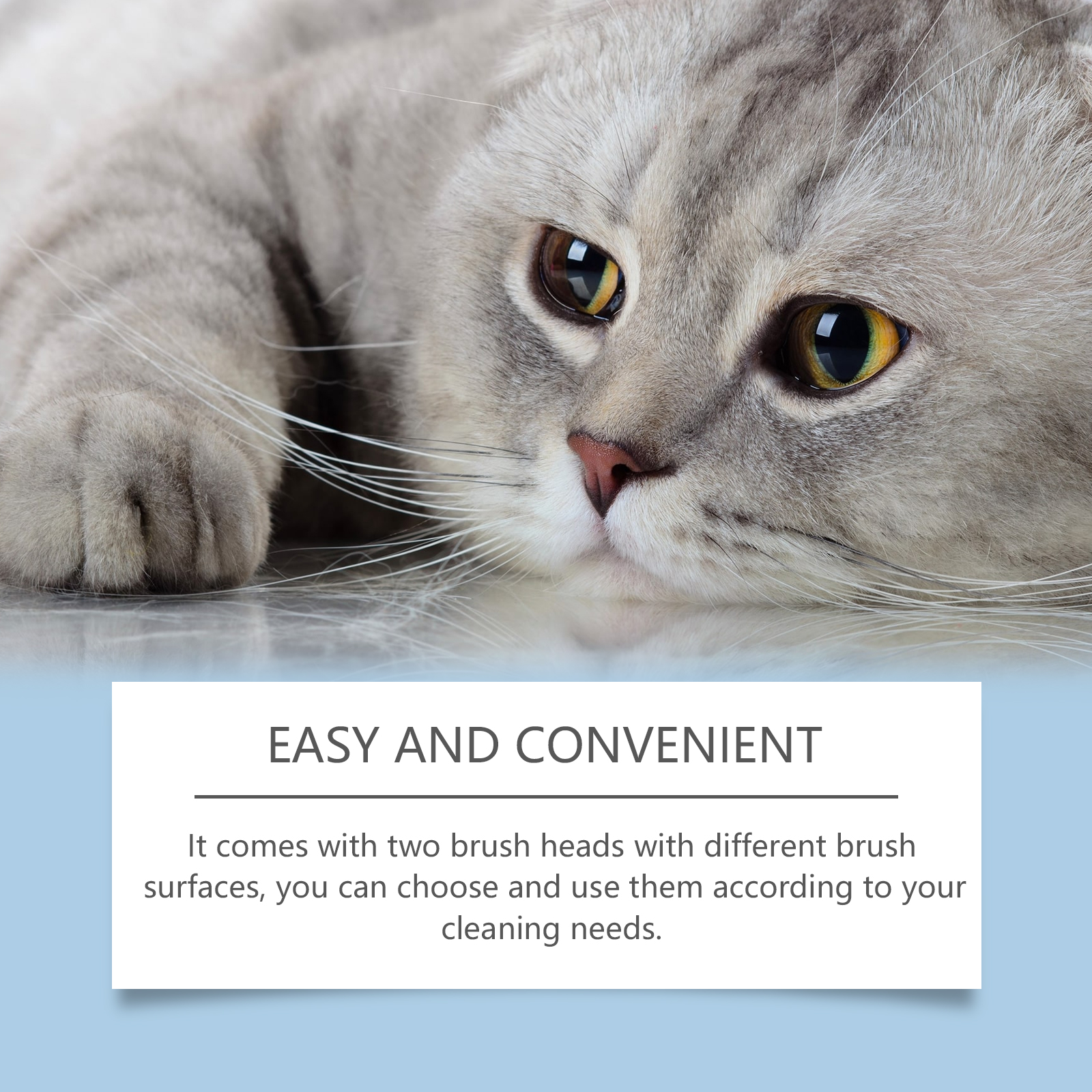 Two brush surfaces shown for pet chin cleaning