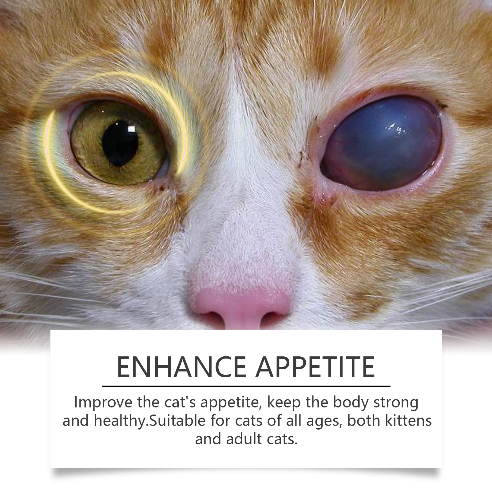 Cat eyes with appetite and wellness support packaging detail