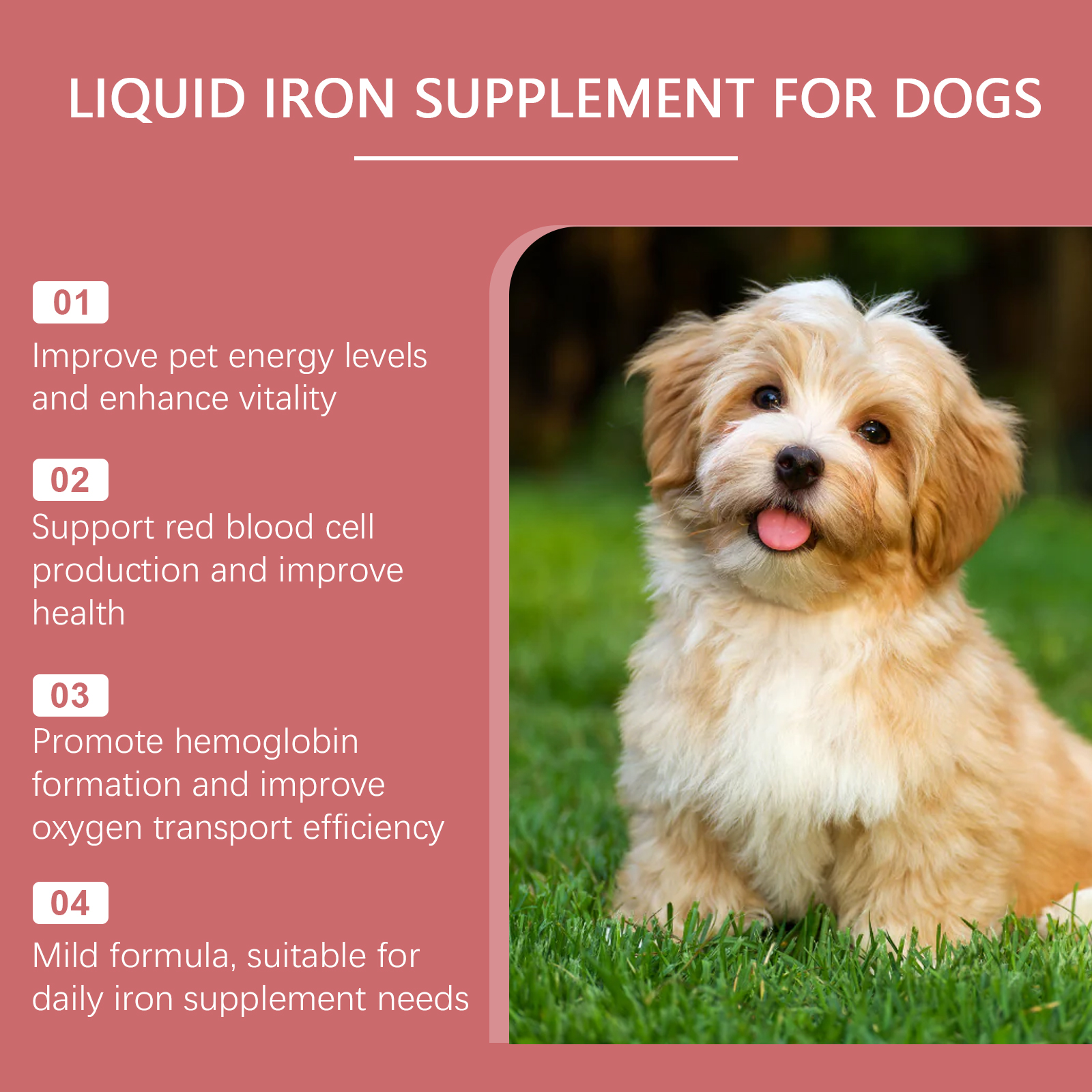 Dog iron supplement feature graphic with vitality claims