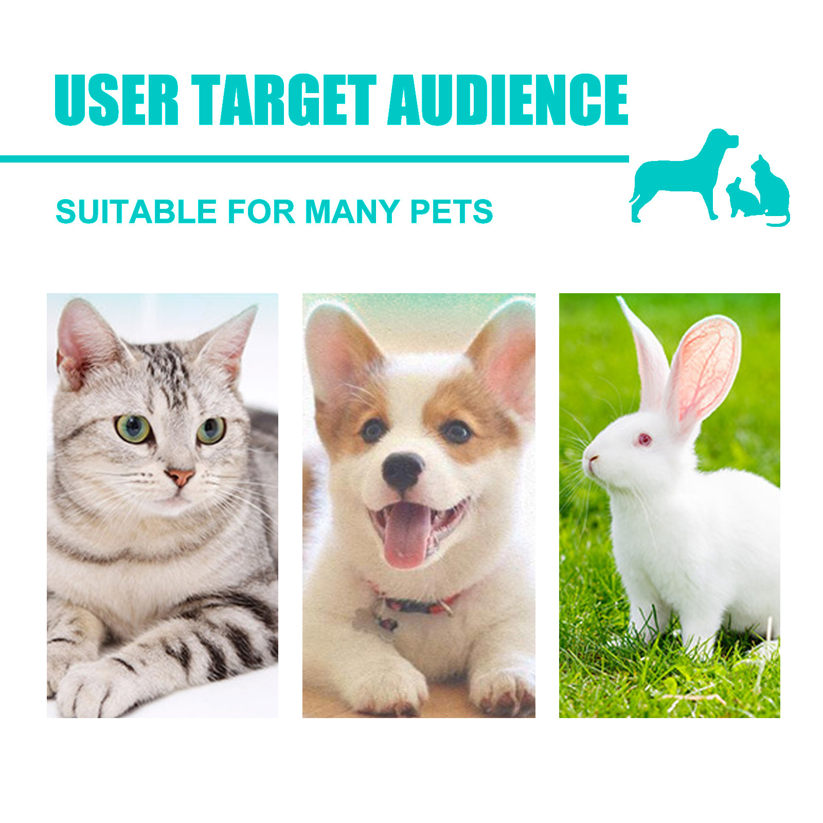 Cat puppy and rabbit shown as pet wipe users