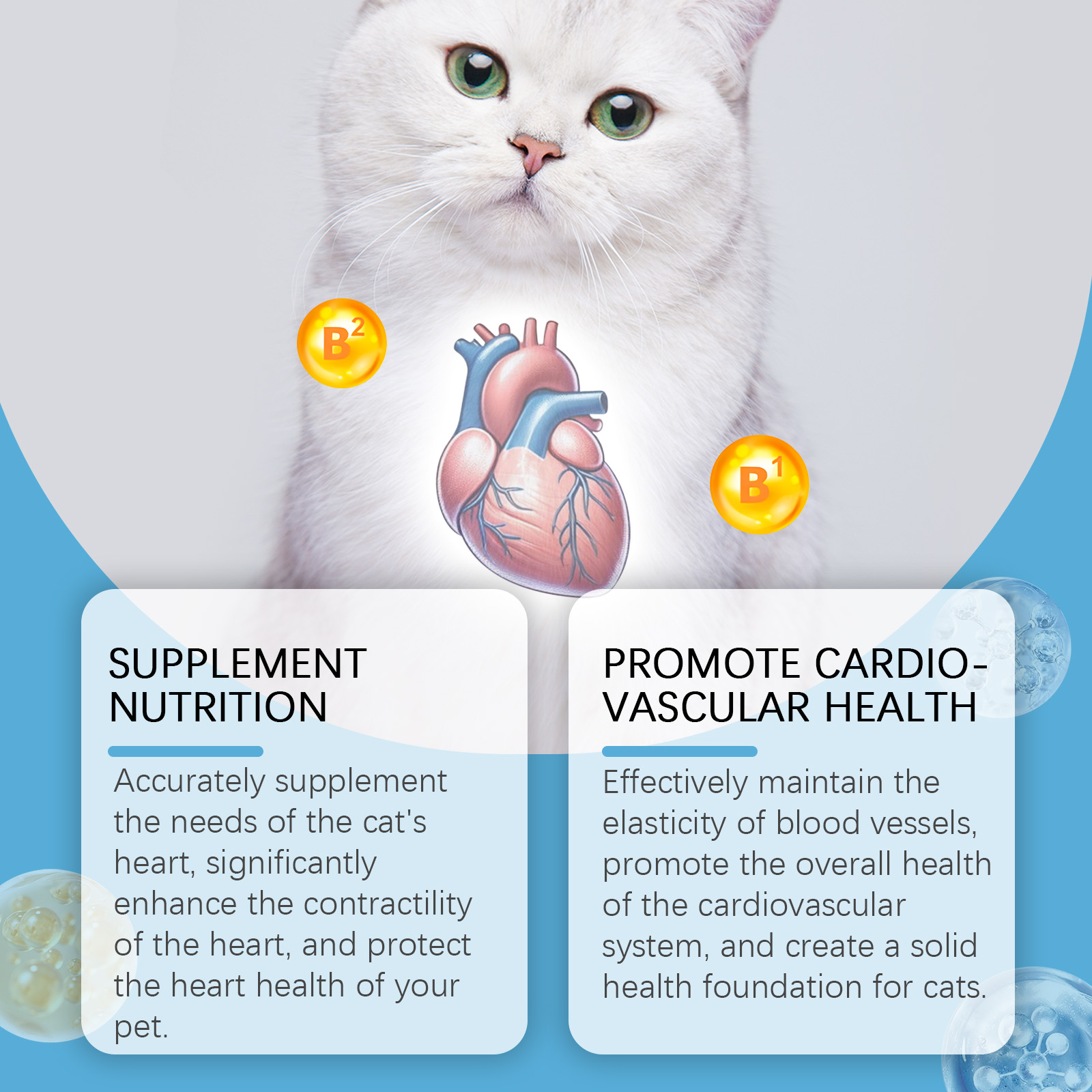 Heart support graphic with CoQ10 B1 and B2