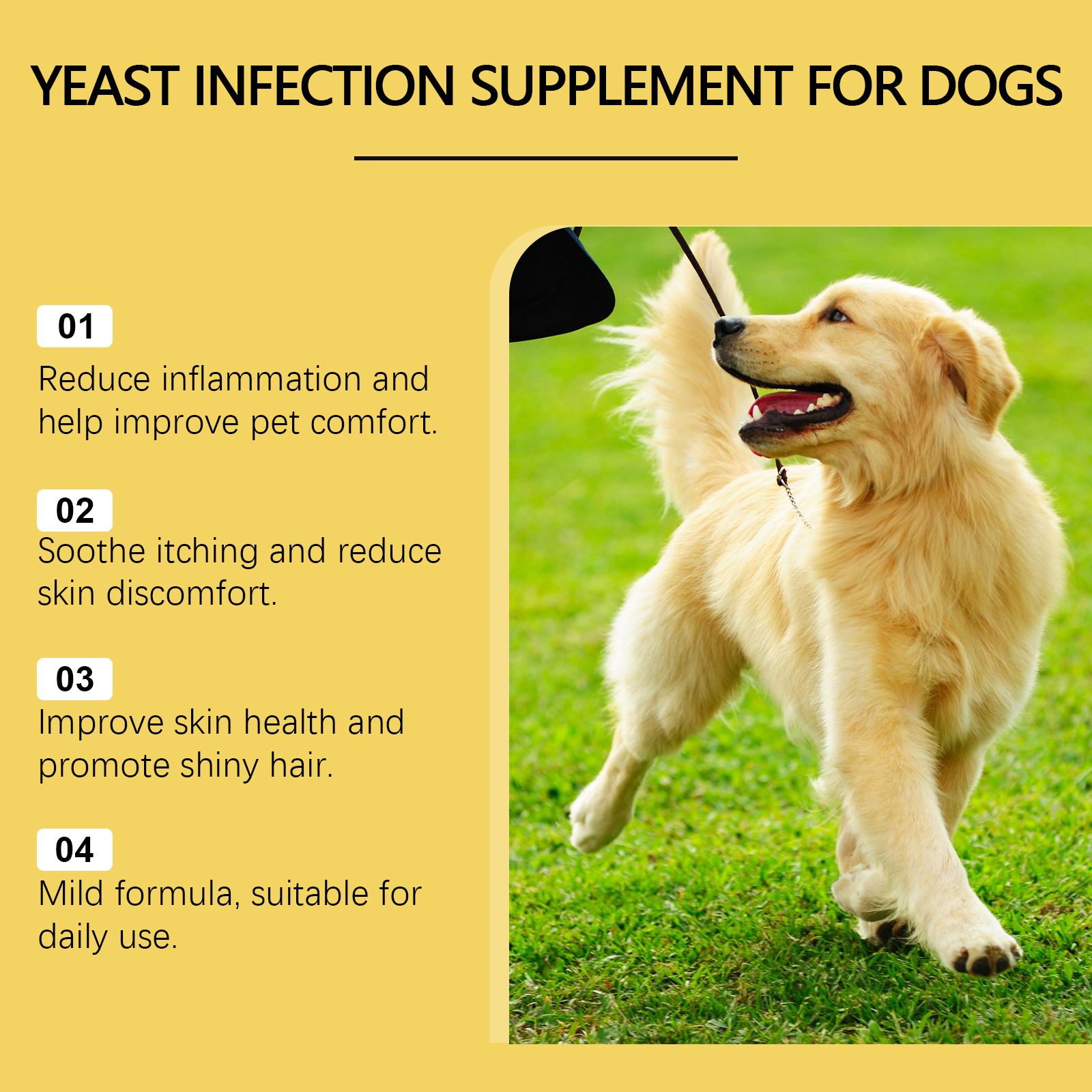 Dog supplement benefit graphic beside active dog