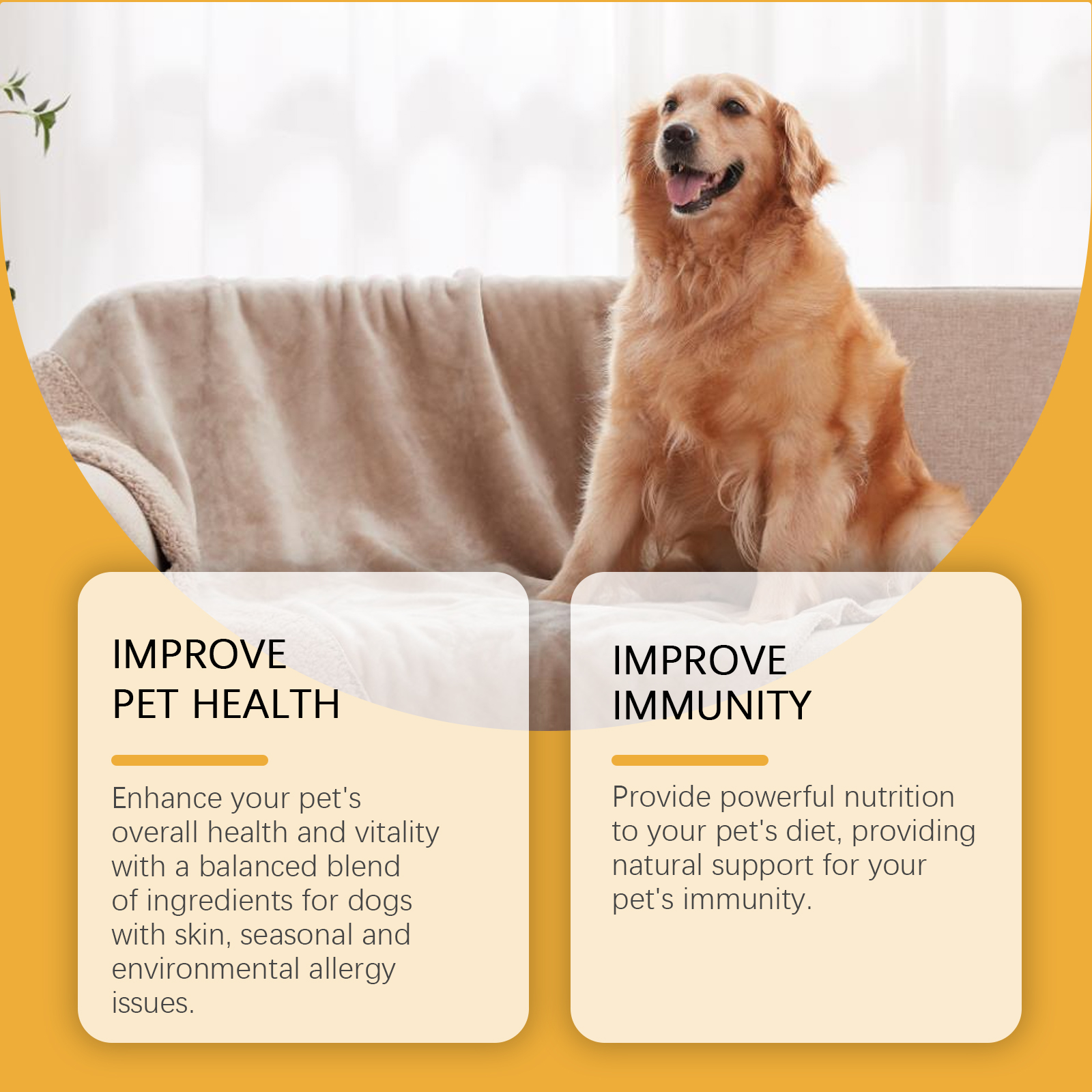Happy golden retriever during everyday wellness care
