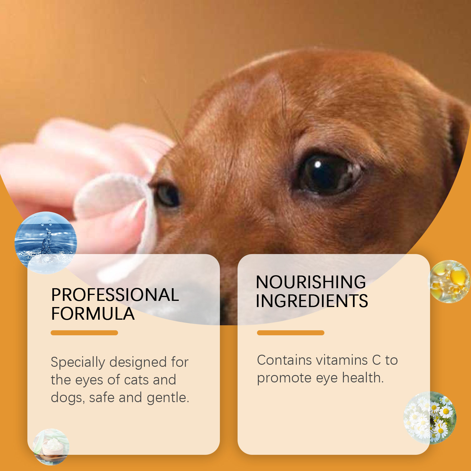 Person wiping fur below brown dog eye