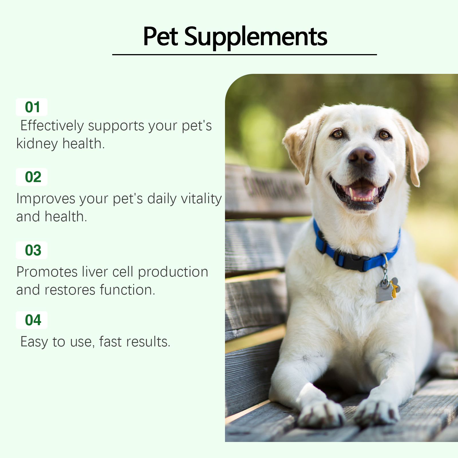 Close detail of liquid pet supplement dropper bottle