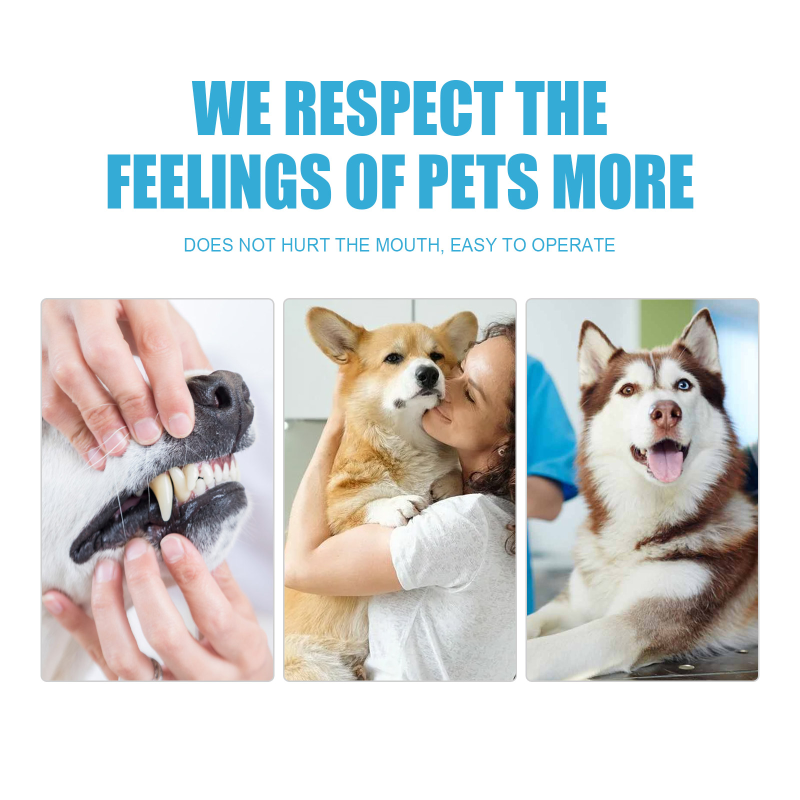 Happy dog during gentle pet dental care routine