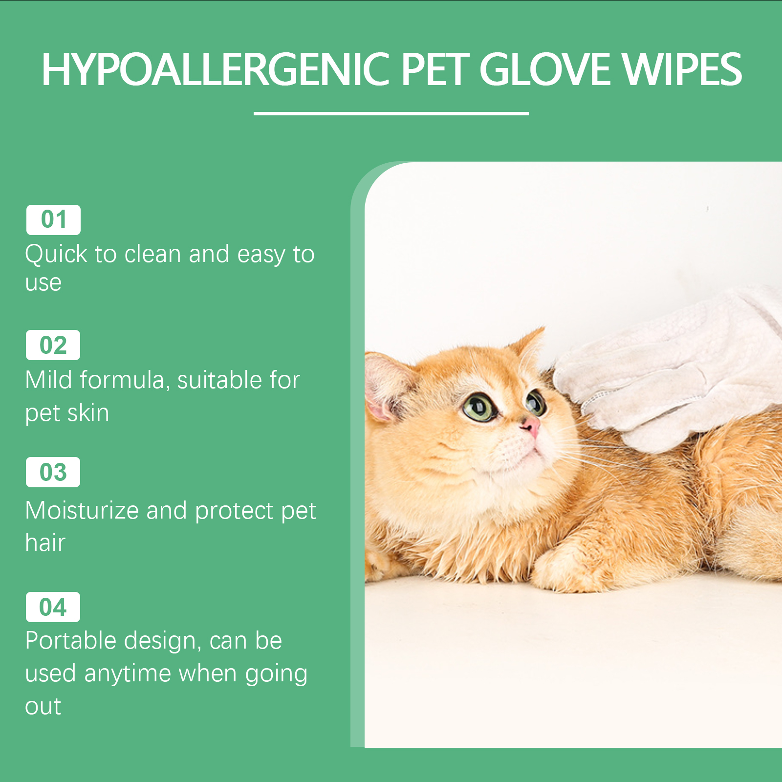 White glove gently cleaning an orange cat's coat